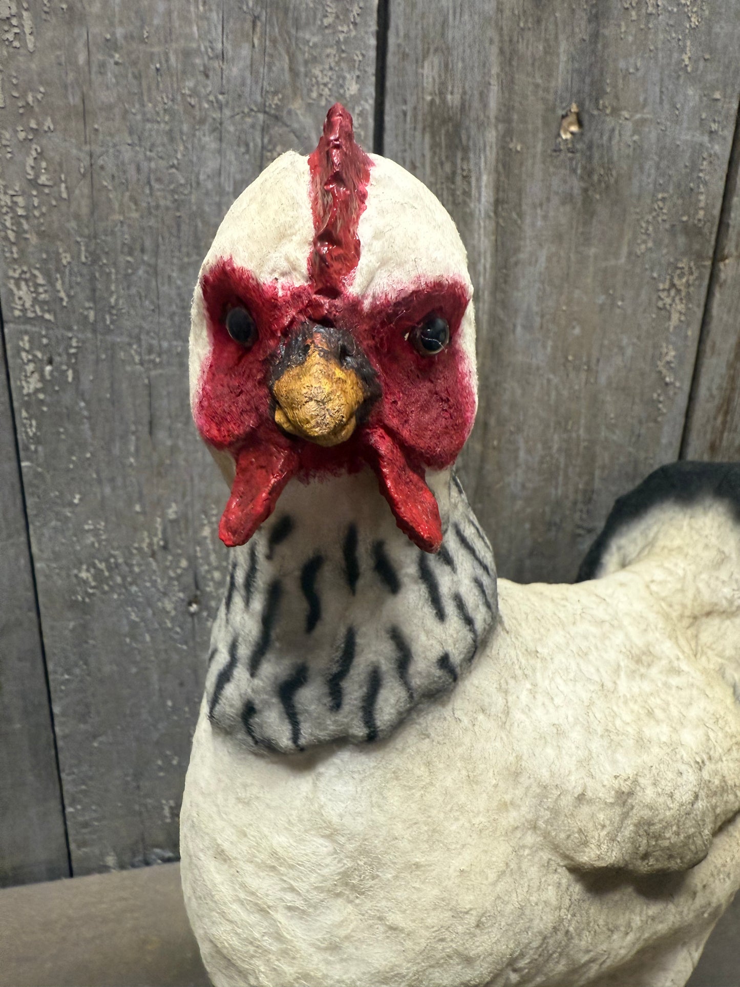 HEN, Large, Brown or White