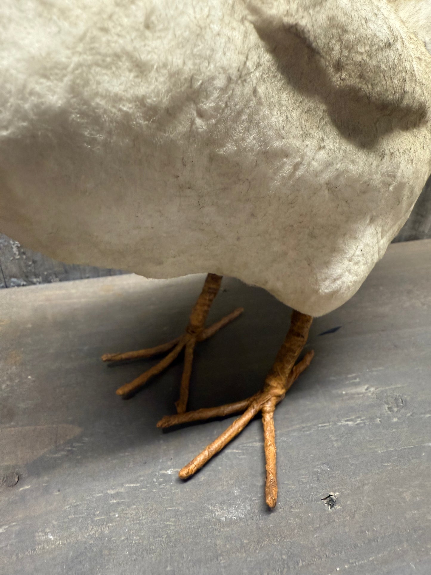 HEN, Large, Brown or White