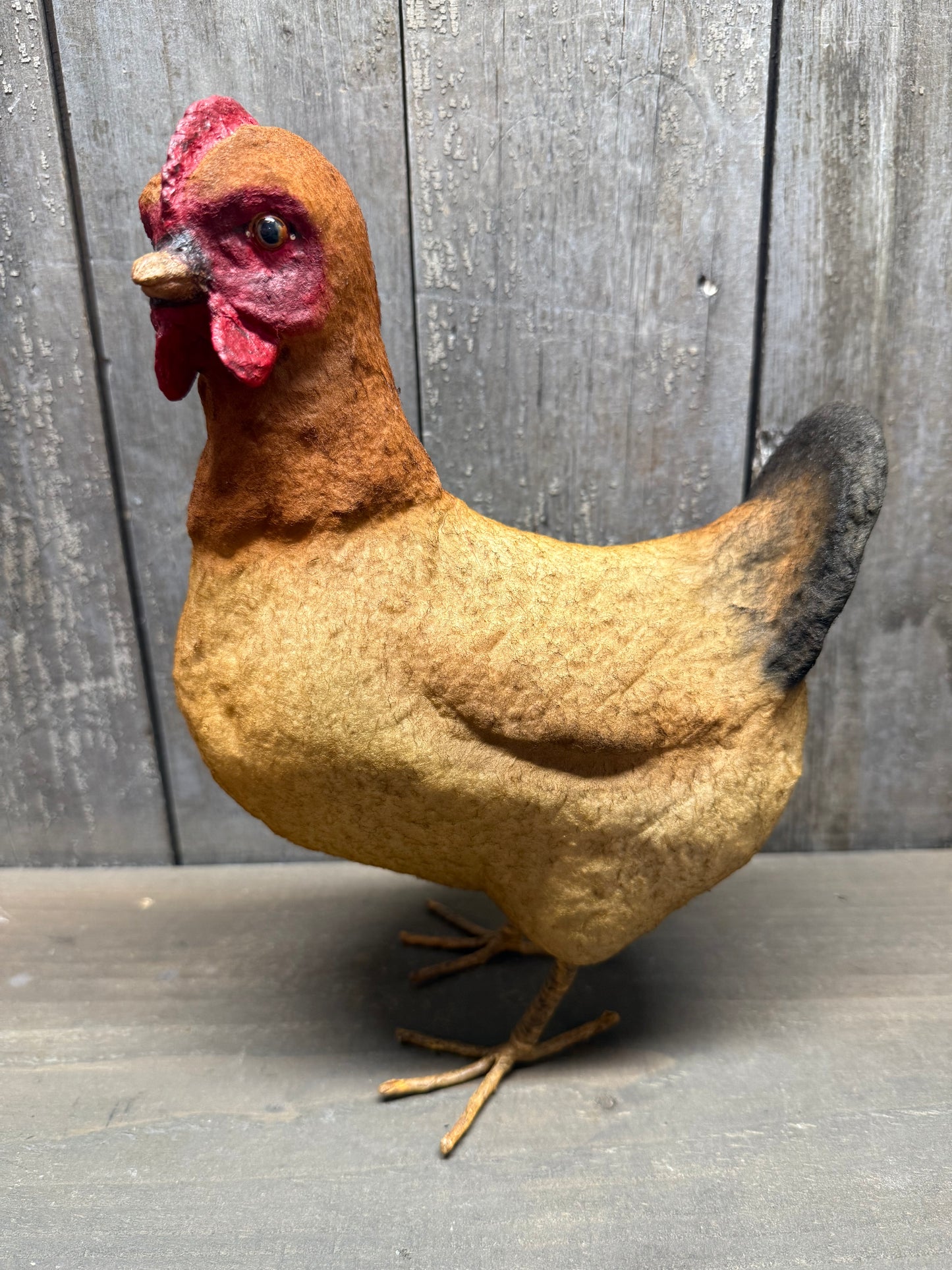HEN, Large, Brown or White