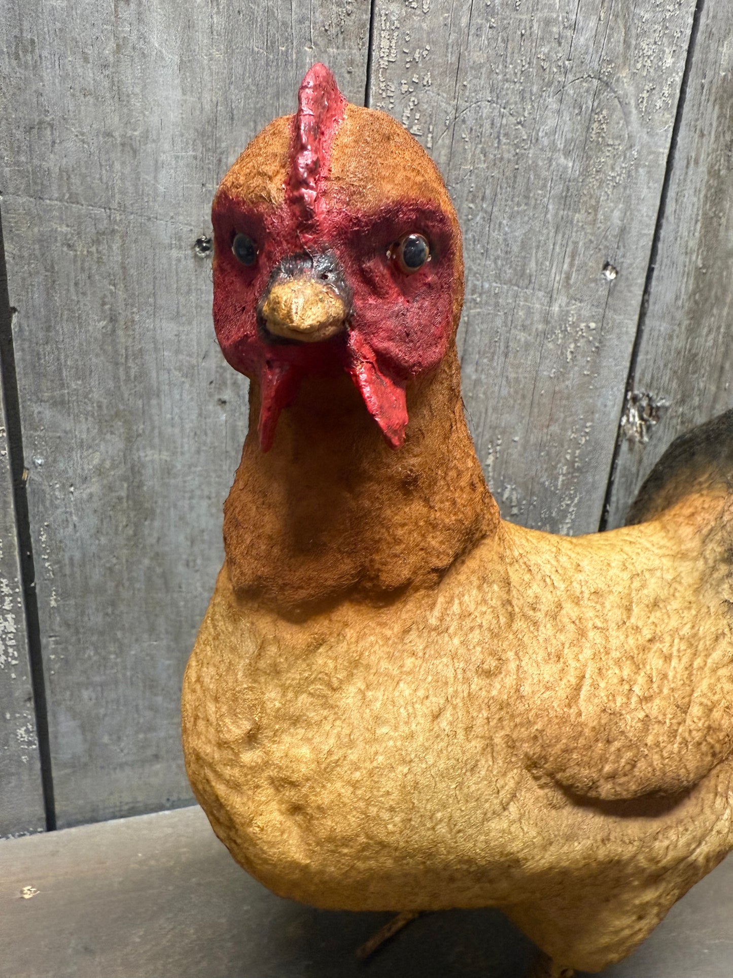 HEN, Large, Brown or White