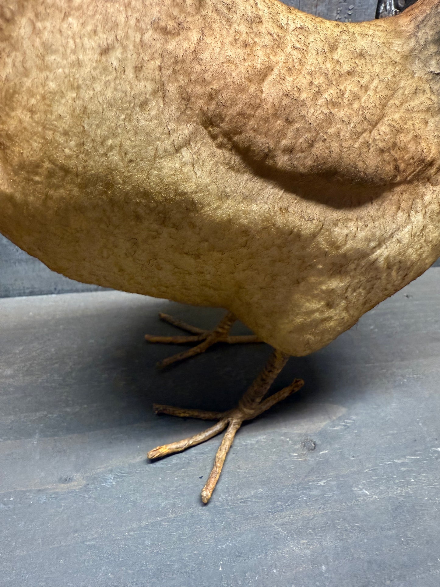 HEN, Large, Brown or White