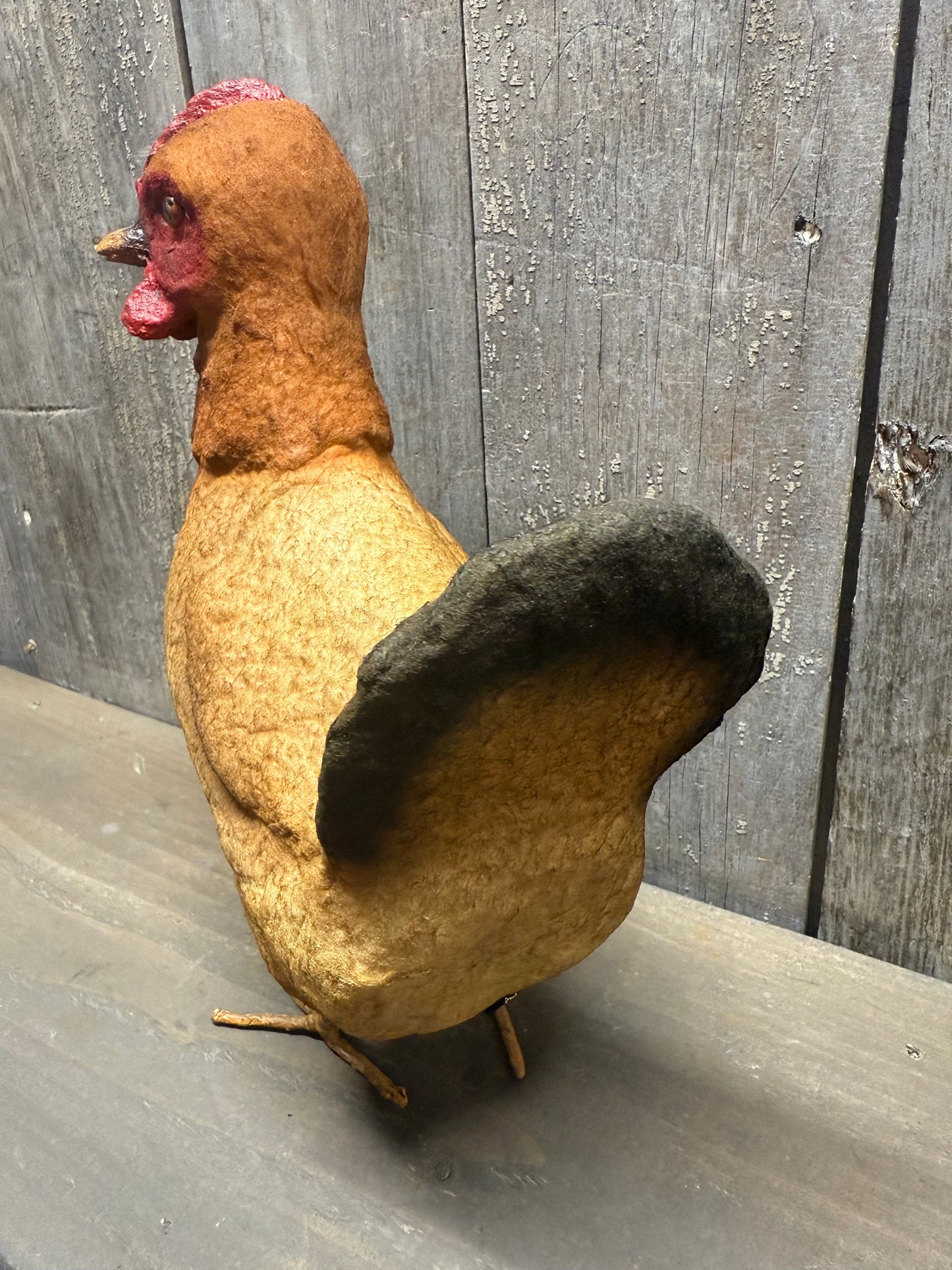 HEN, Large, Brown or White