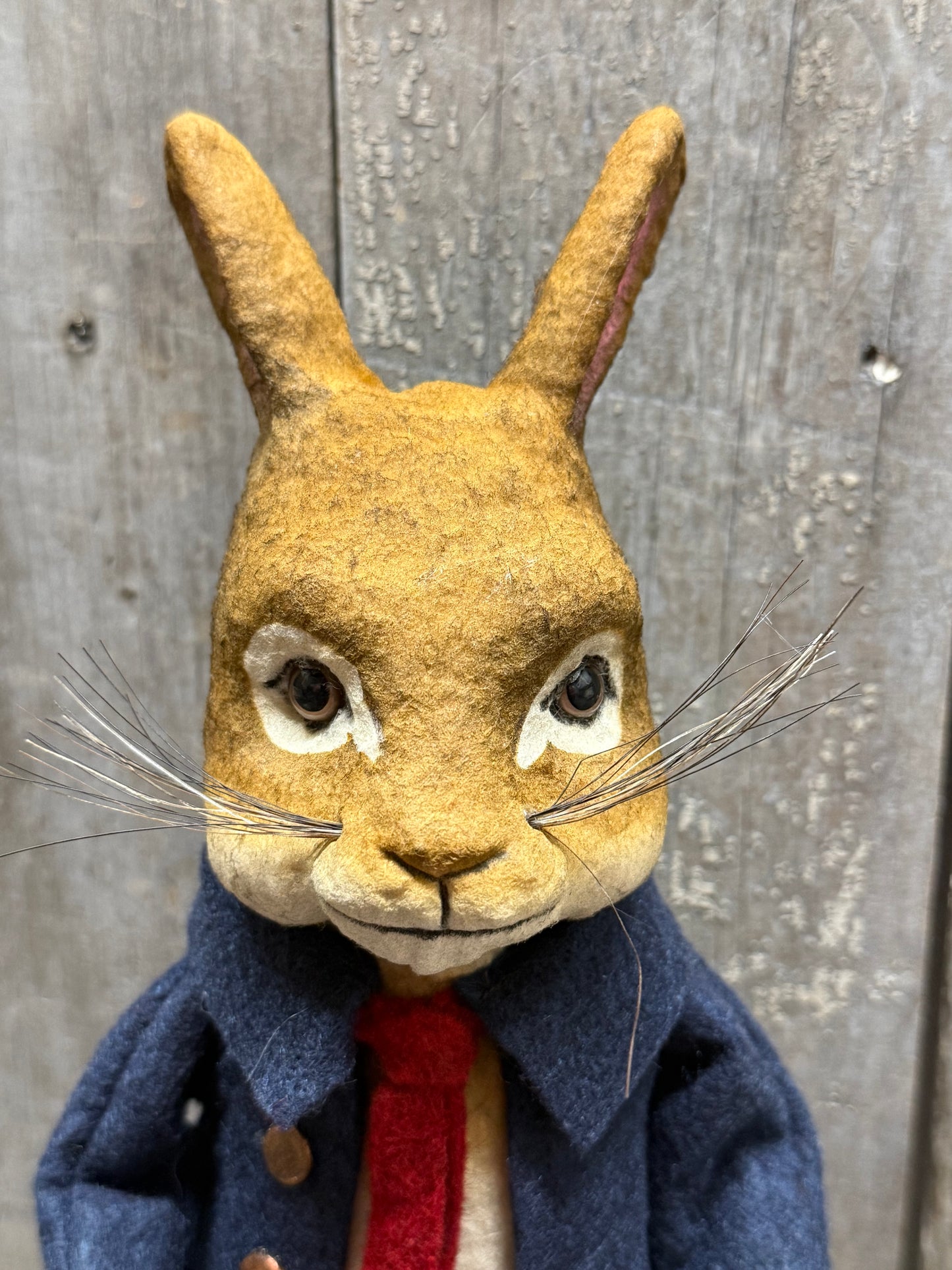 PETER RABBIT, Small