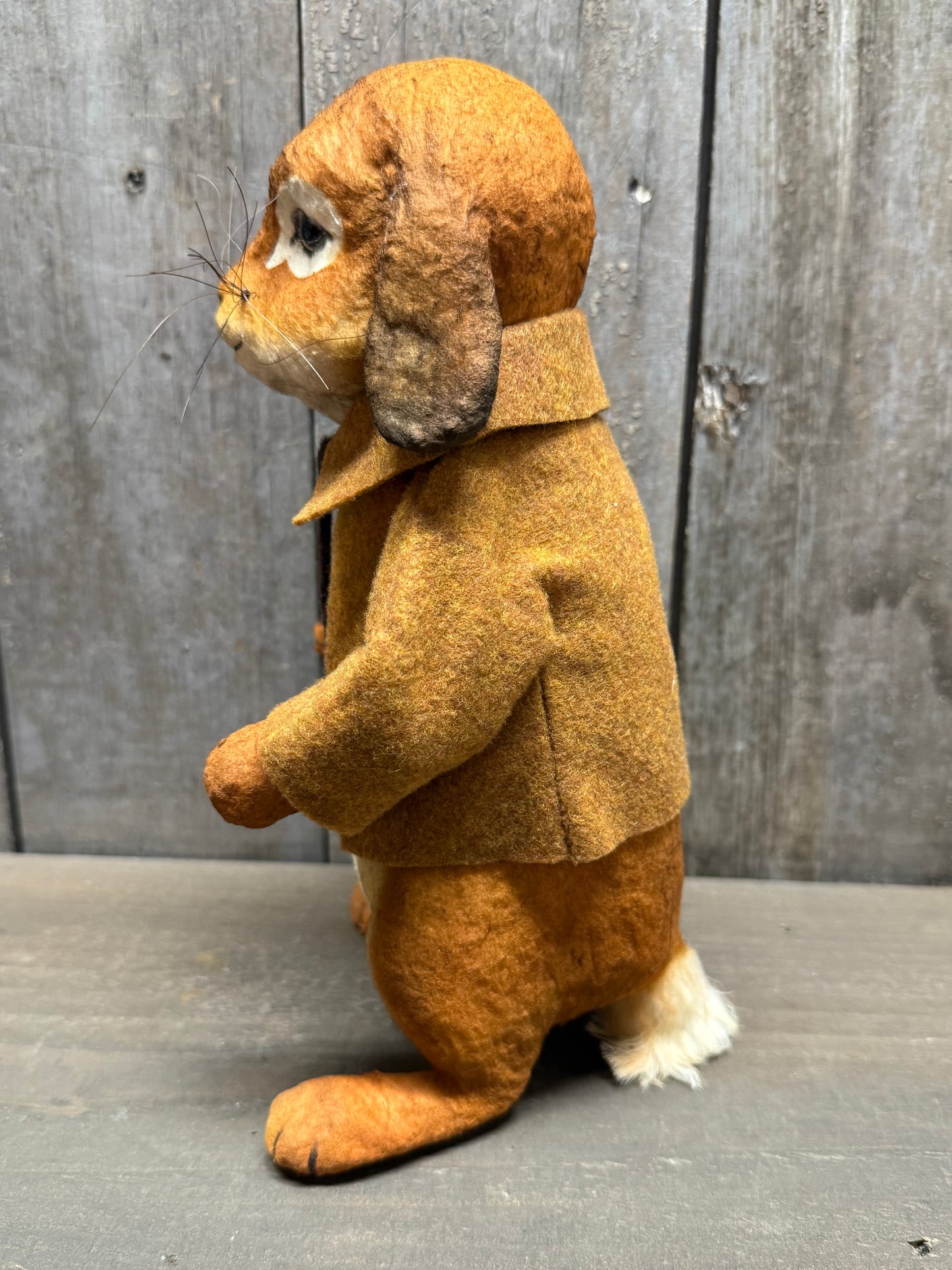 BENJAMIN RABBIT
