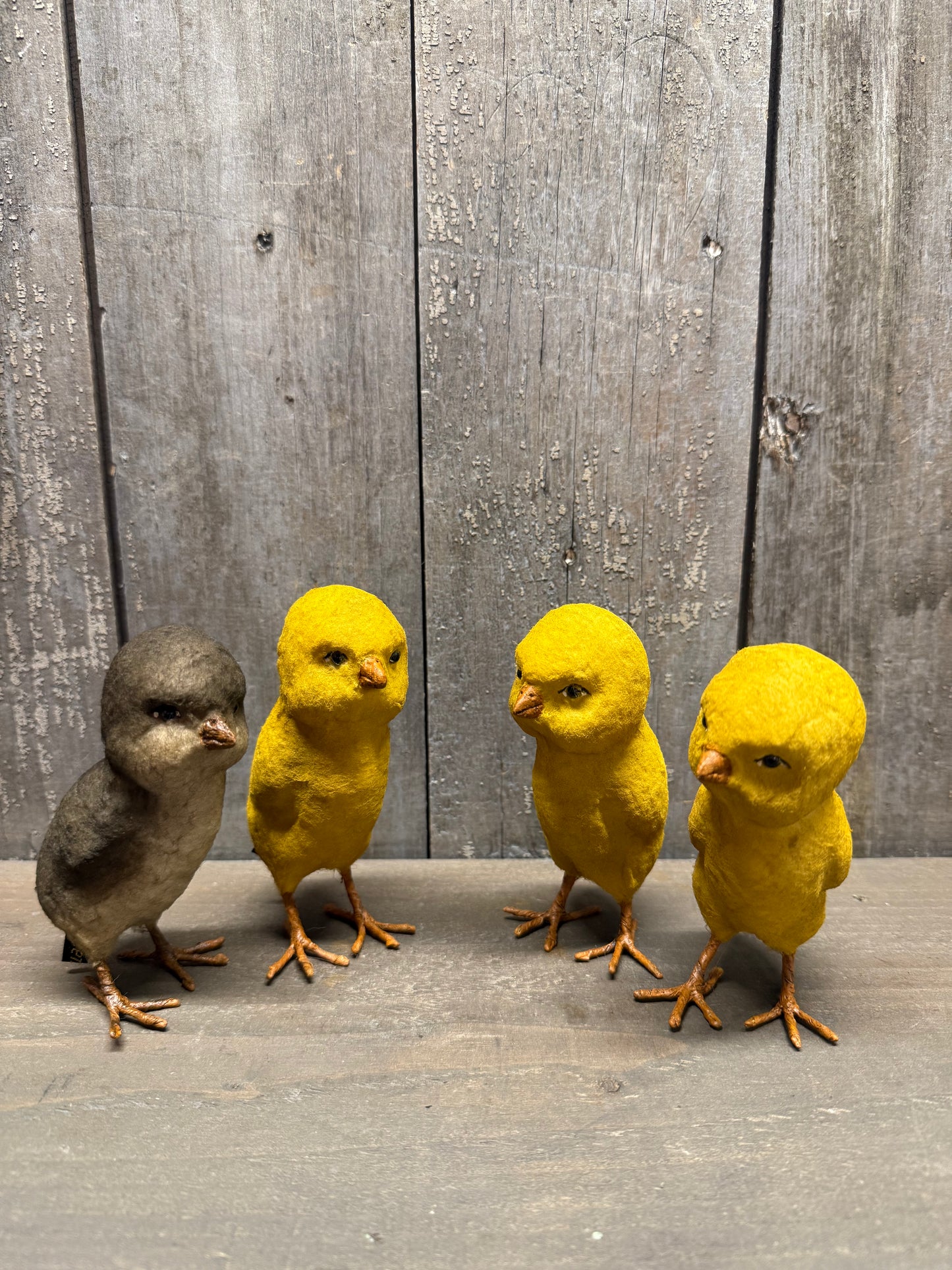 CHICK, Assorted Styles