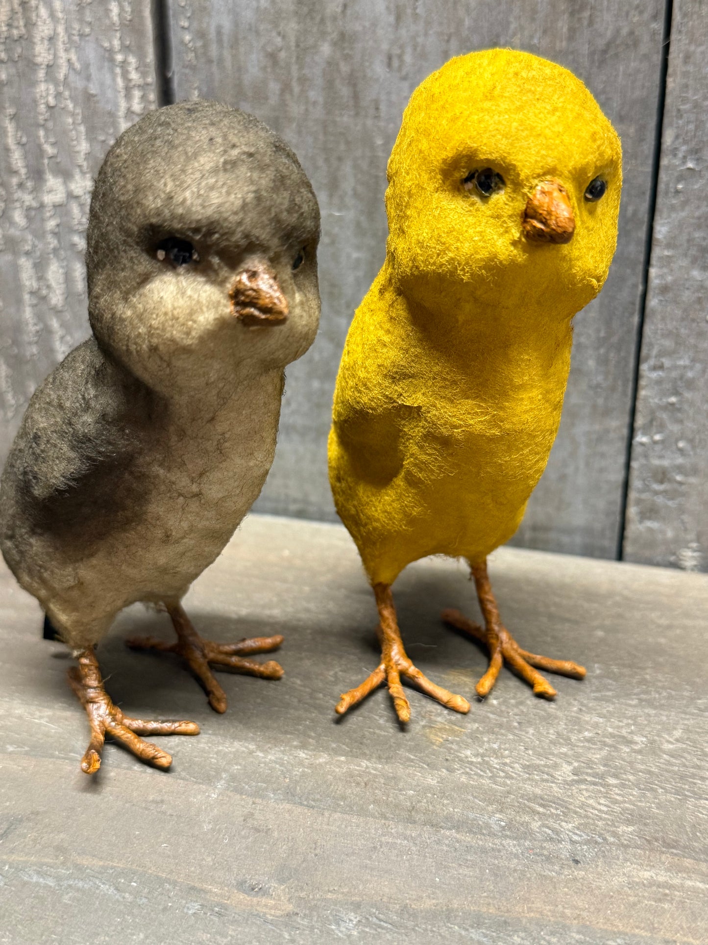 CHICK, Assorted Styles