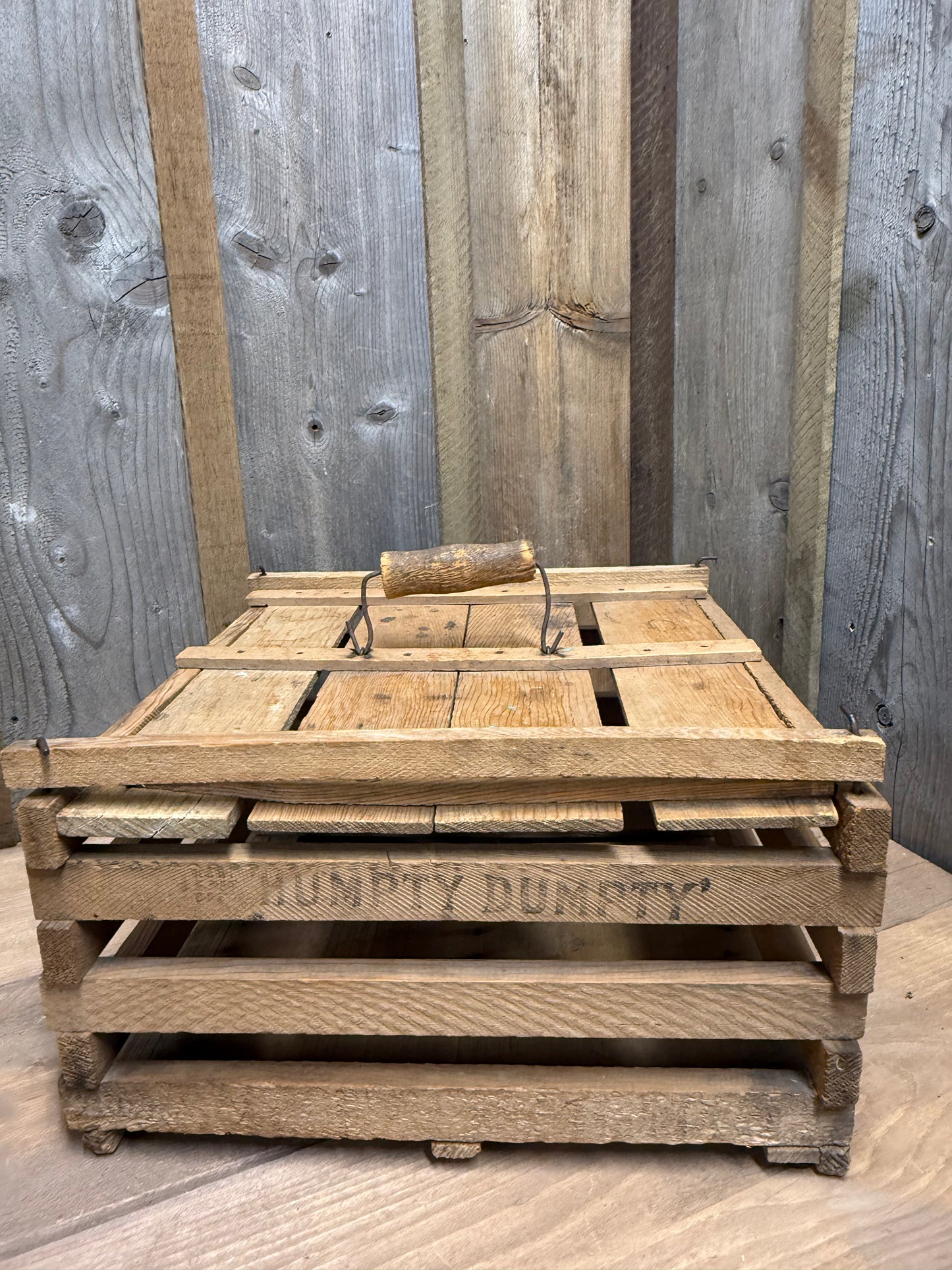 EGG CARRIER, Humpty Dumpty