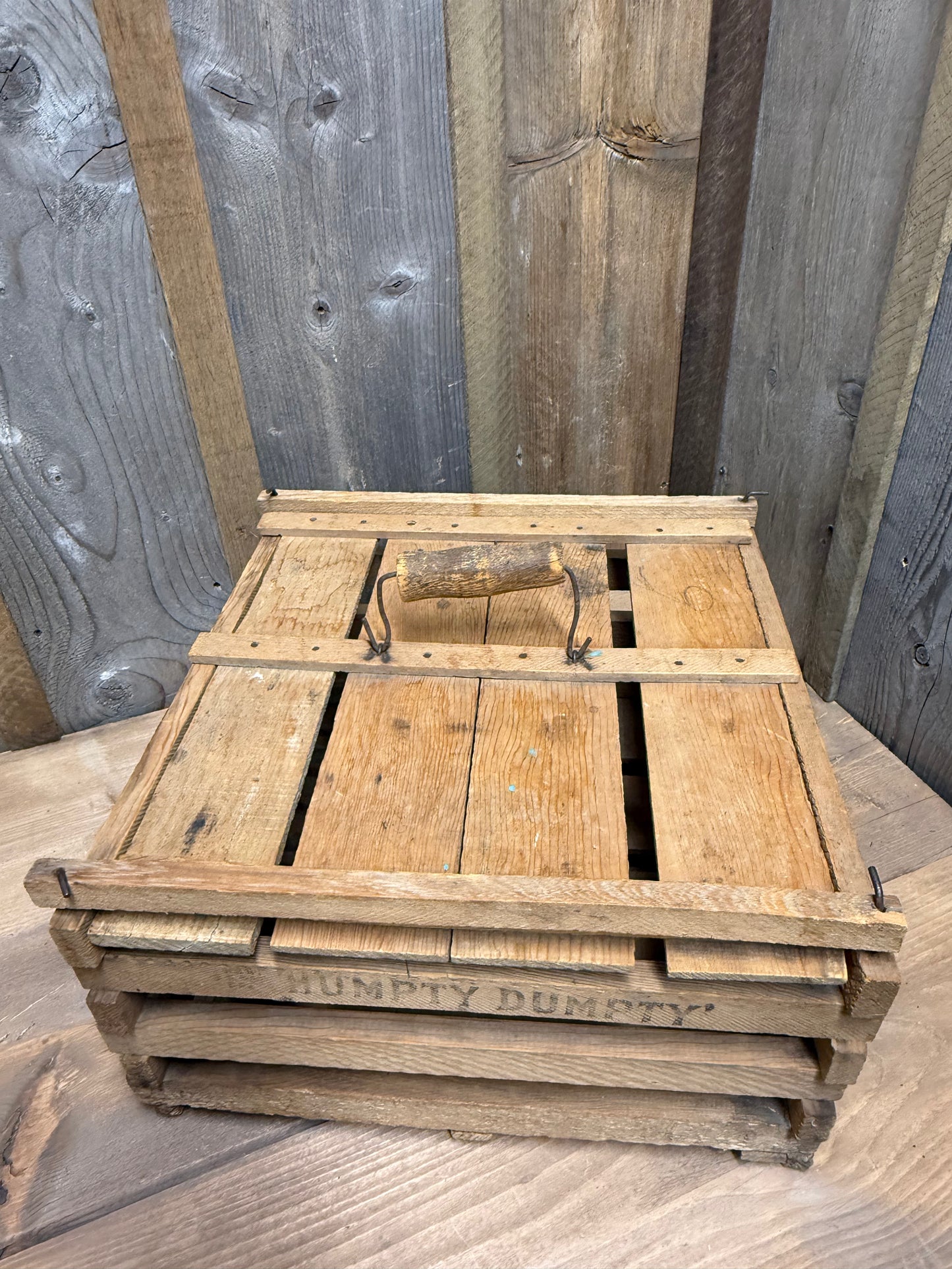 EGG CARRIER, Humpty Dumpty