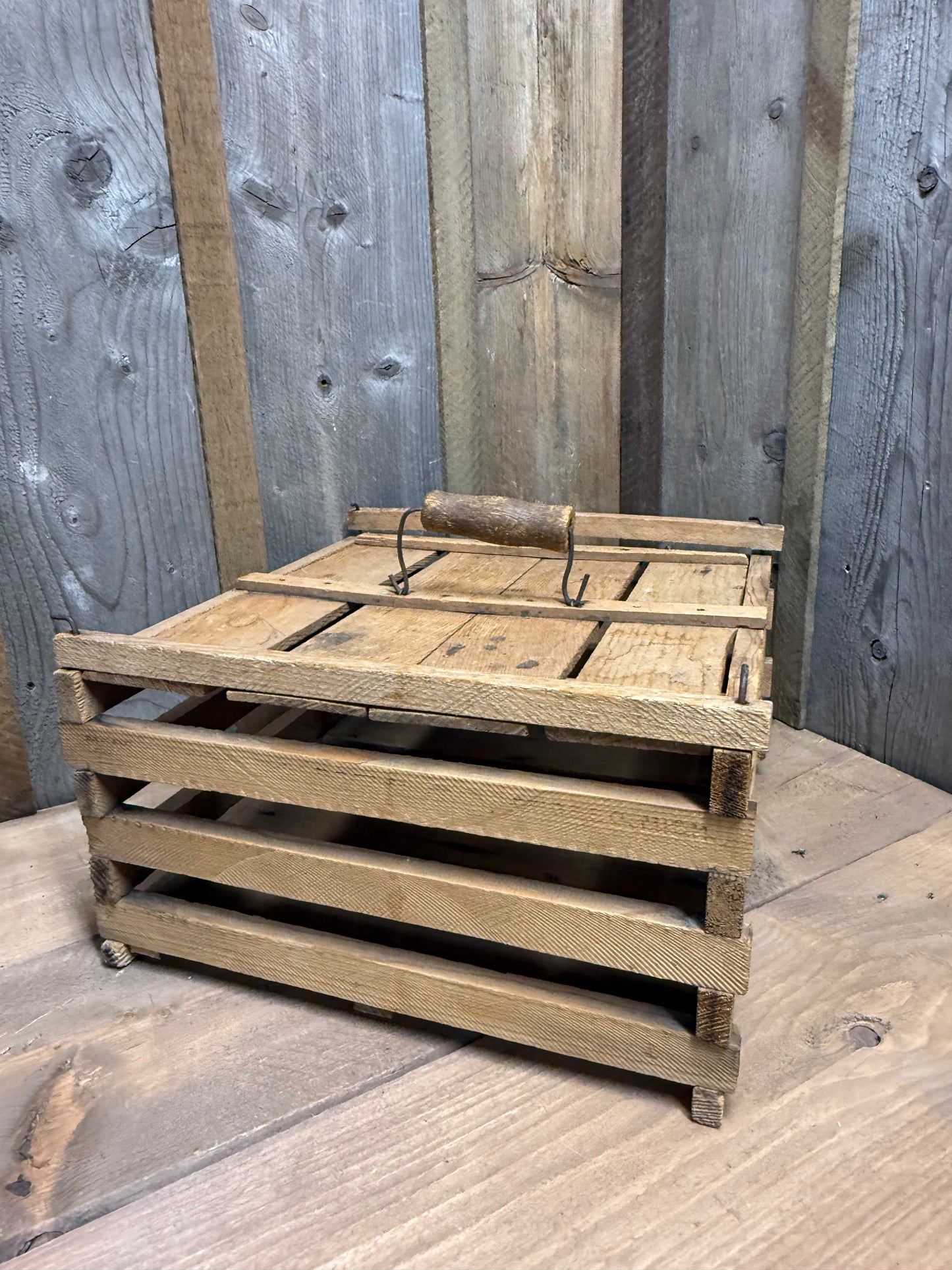 EGG CARRIER, Humpty Dumpty