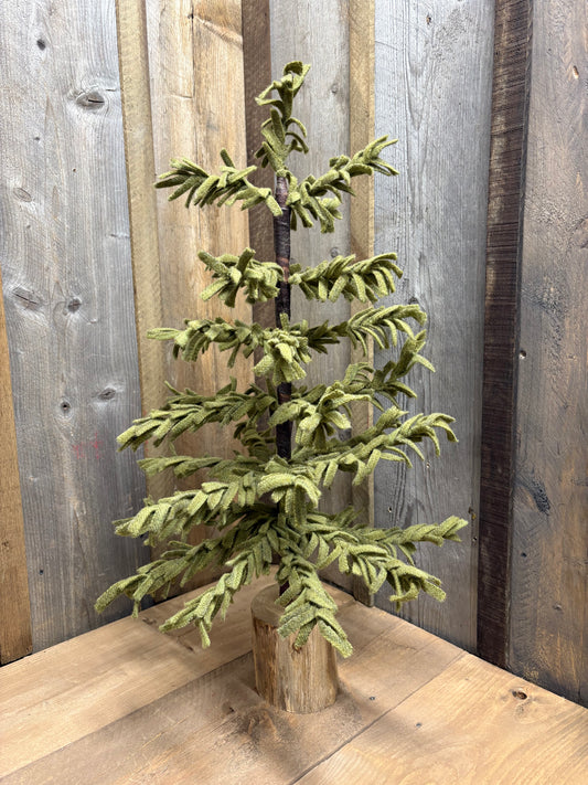 Class, SATURDAY 11/15 Morning, WOOL TREE
