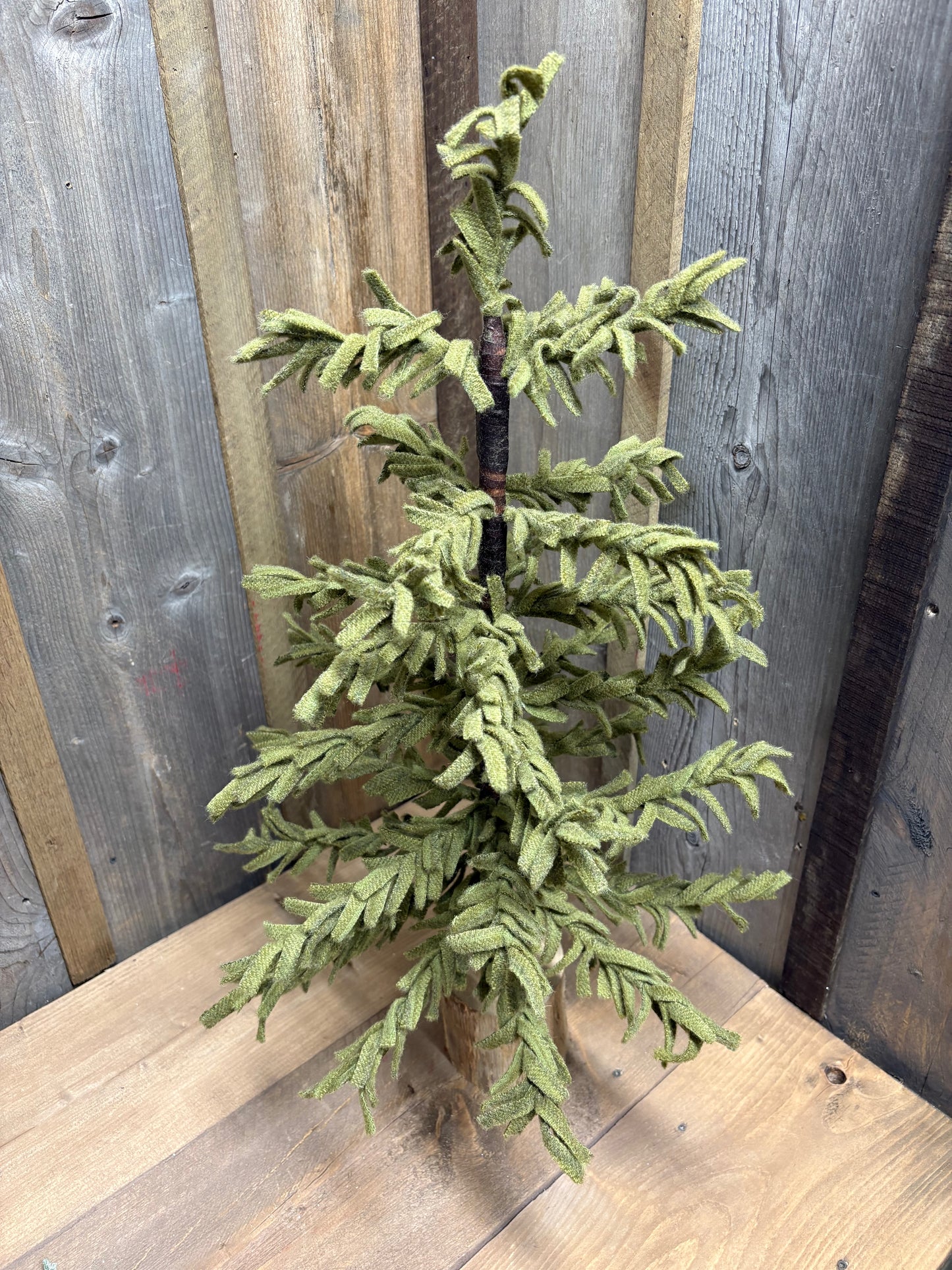 Class, WEDNESDAY 11/12 Afternoon, WOOL TREE