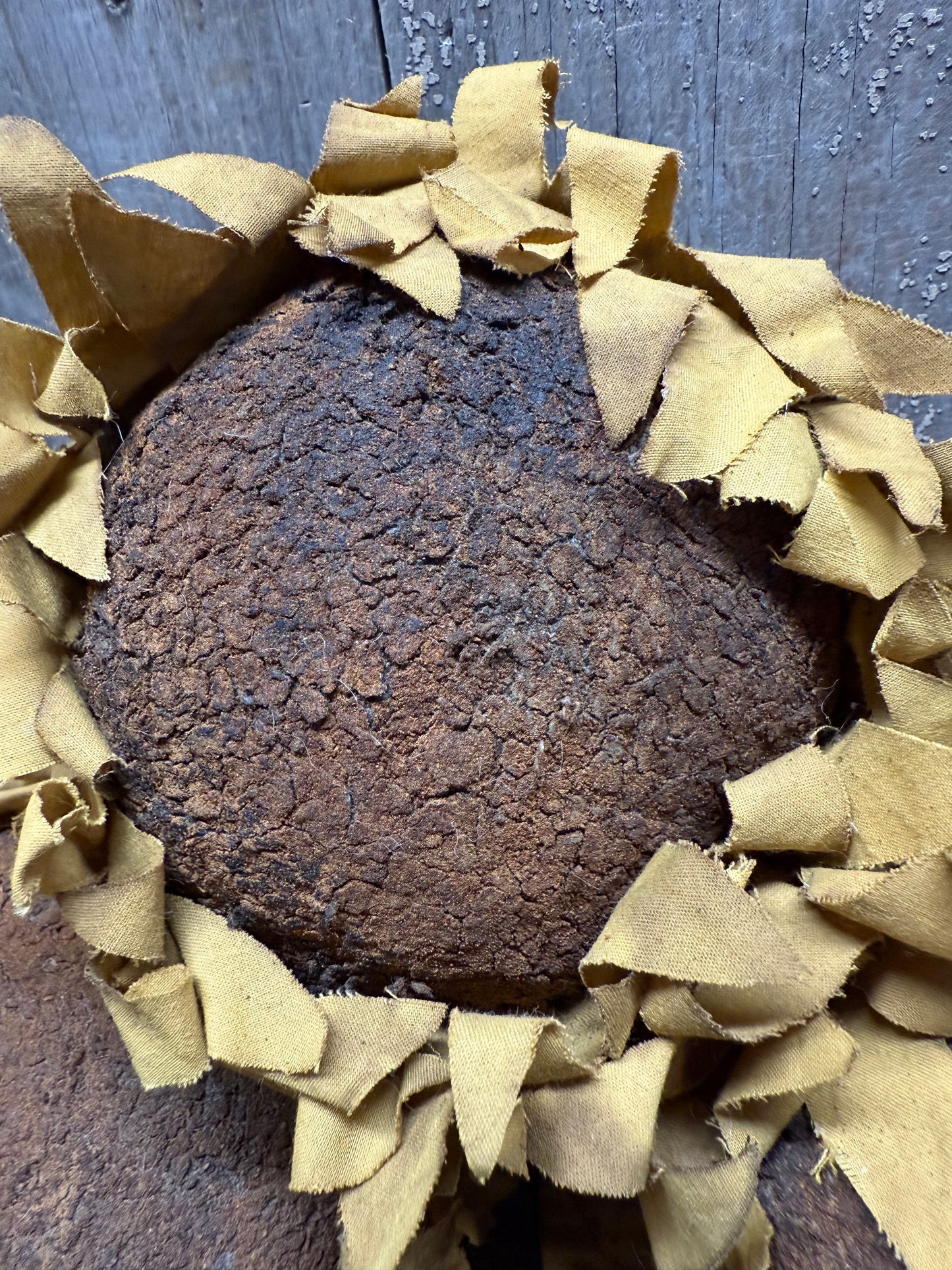 SUNFLOWER, SET/3