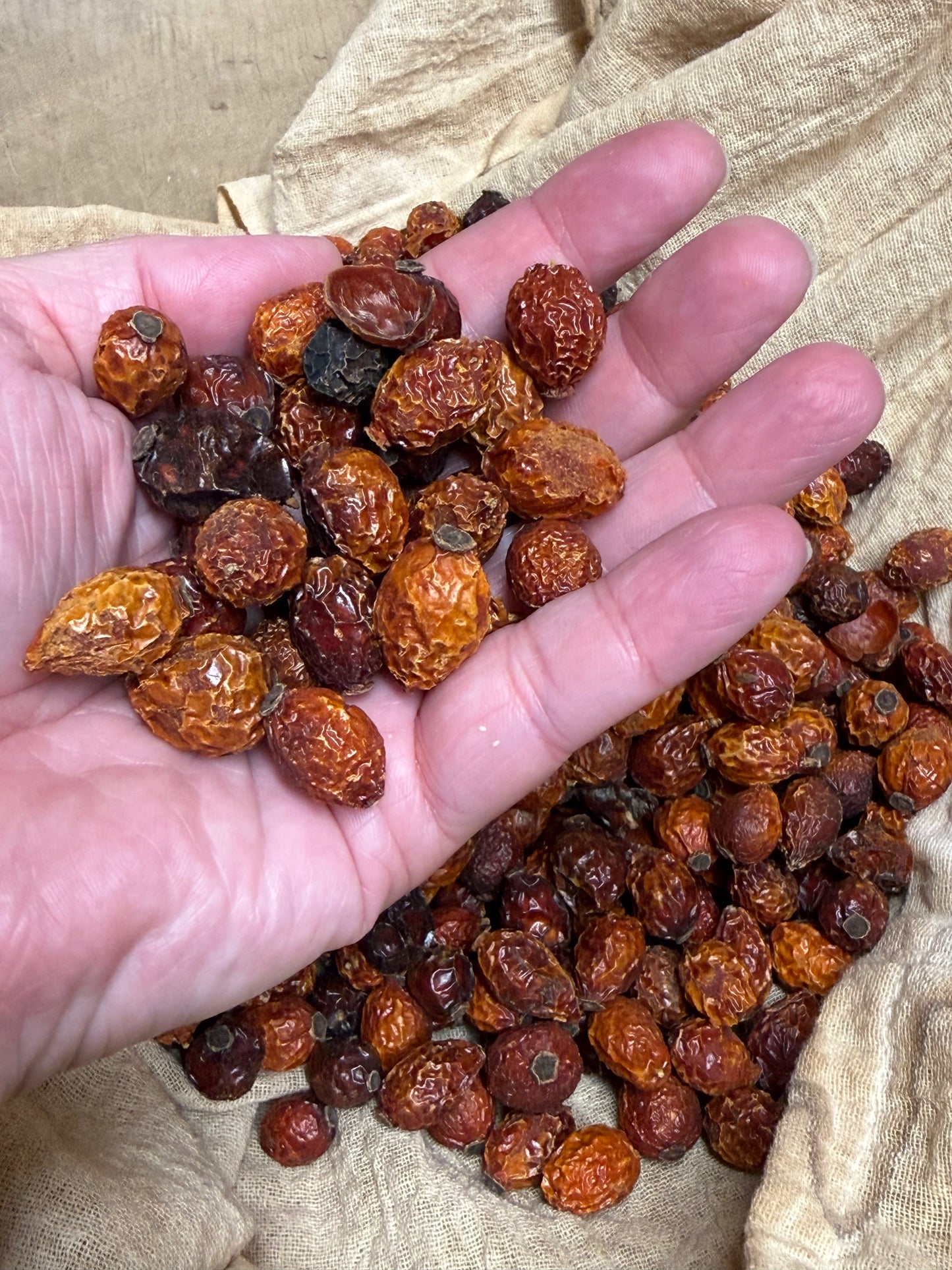 ROSE HIPS, Natural, 1 lb