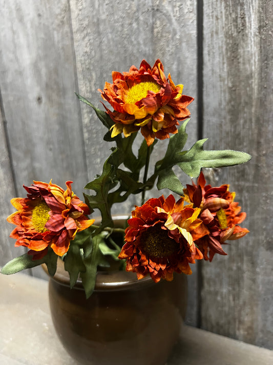 Pick, 11", Strawflower, BURNT ORANGE