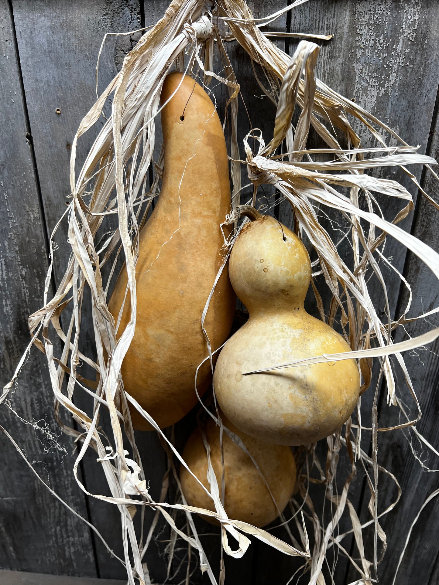 Gourd Bundle, 22", ASSORTED