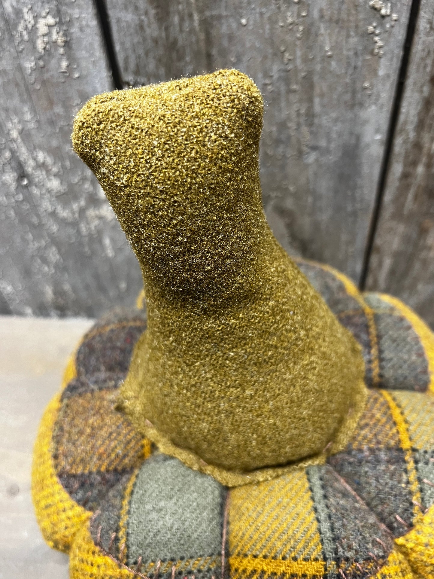 Wool Pumpkin, SQUATTY