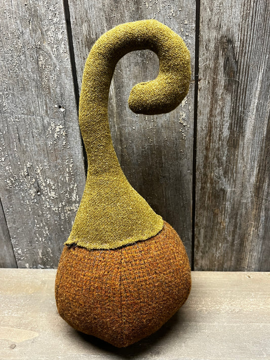 Wool Pumpkin, CURLY STEM