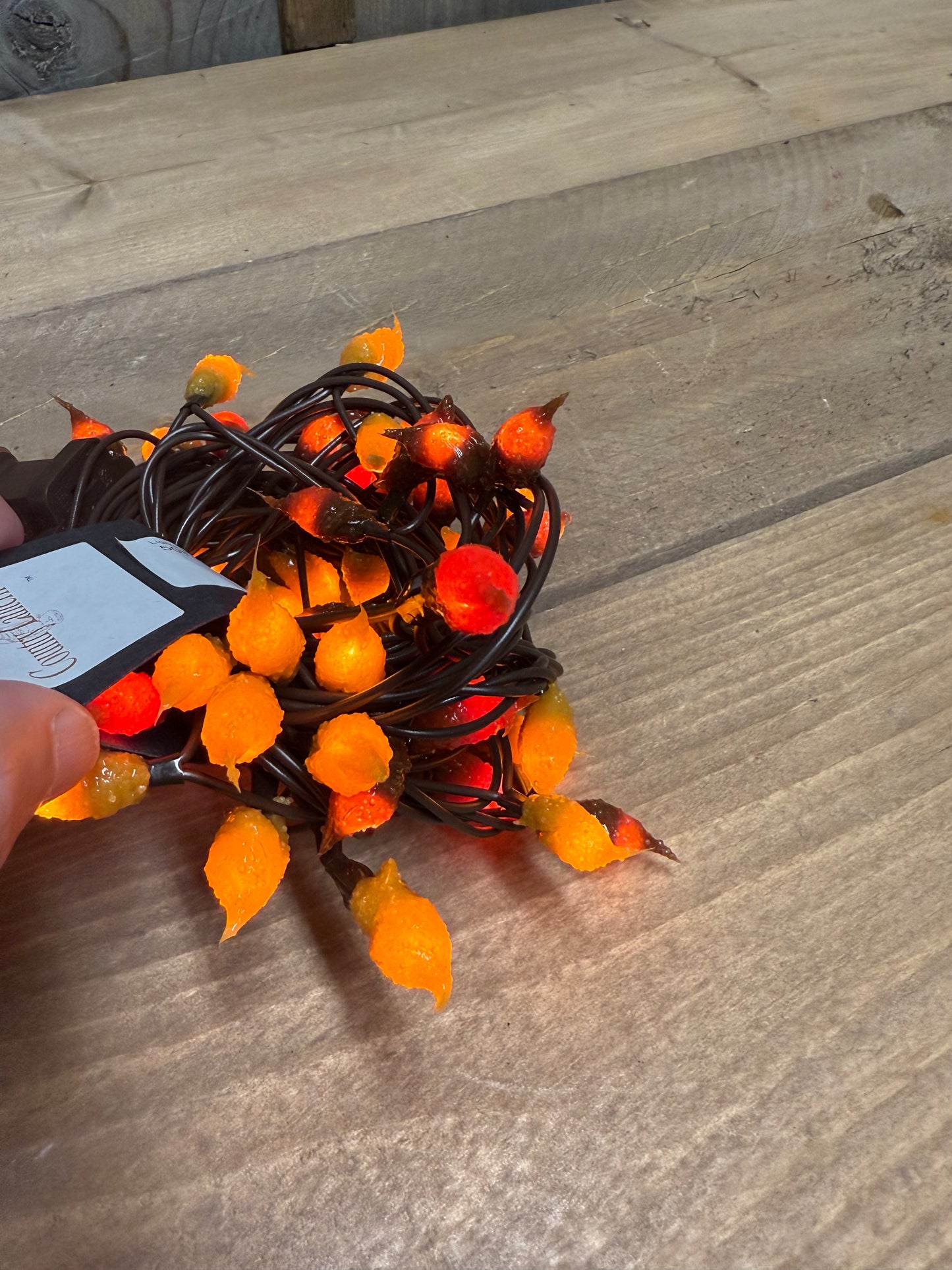 Lights, 50 Count, Hand Dipped Silicone, ELECTRIC, Assorted Colors