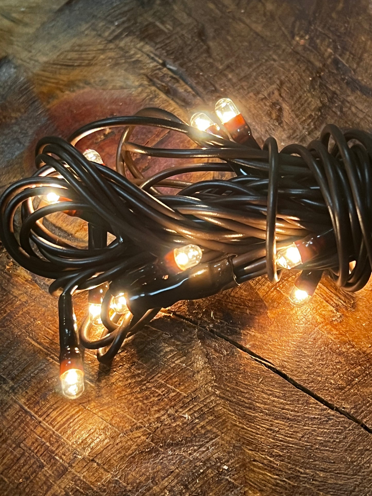 Teeny Bulbs, Brown Wire, 20 Count, WARM WHITE