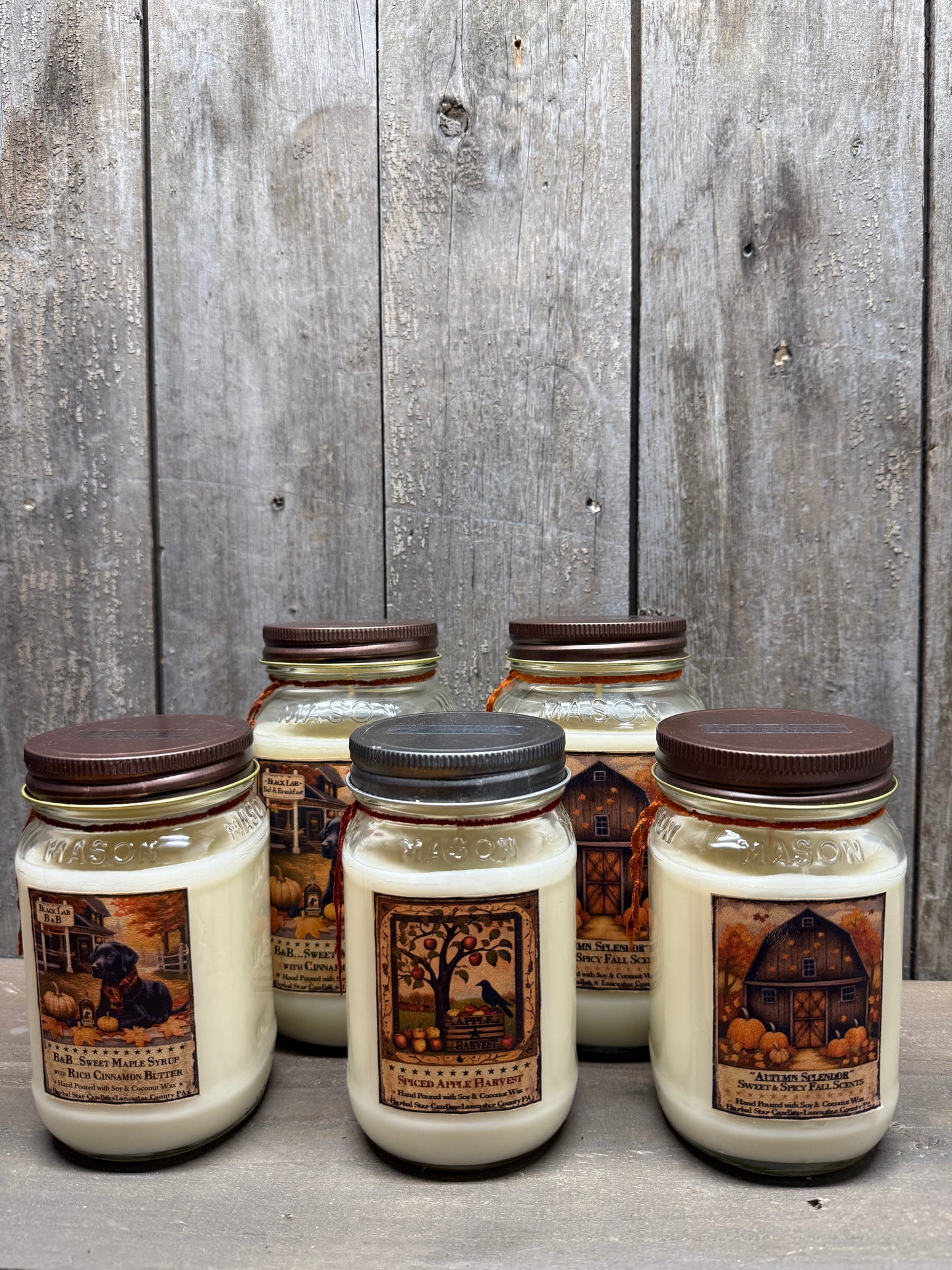 Soy/Coconut Wax Candle, FALL ASSORTED
