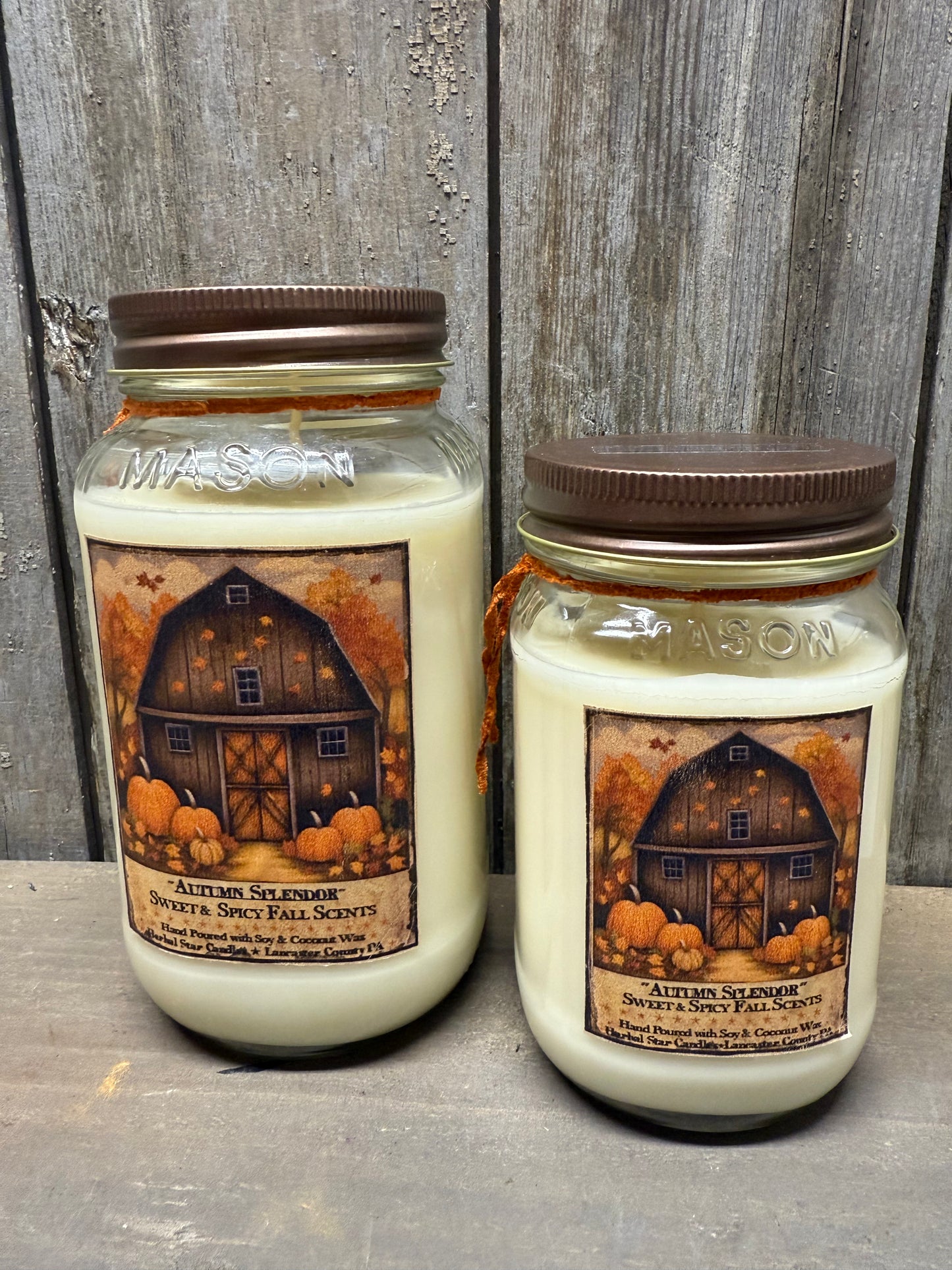 Soy/Coconut Wax Candle, FALL ASSORTED