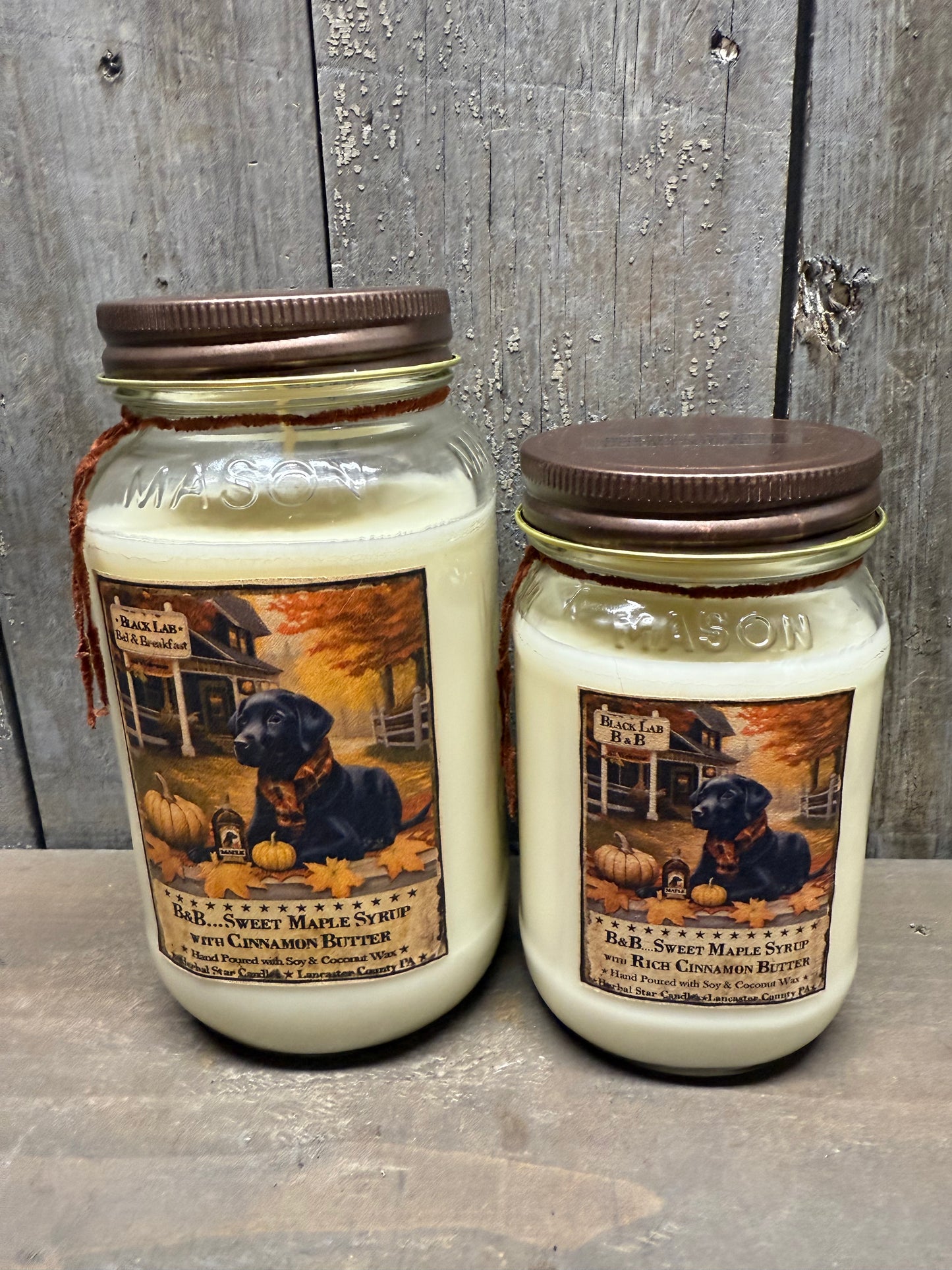 Soy/Coconut Wax Candle, FALL ASSORTED