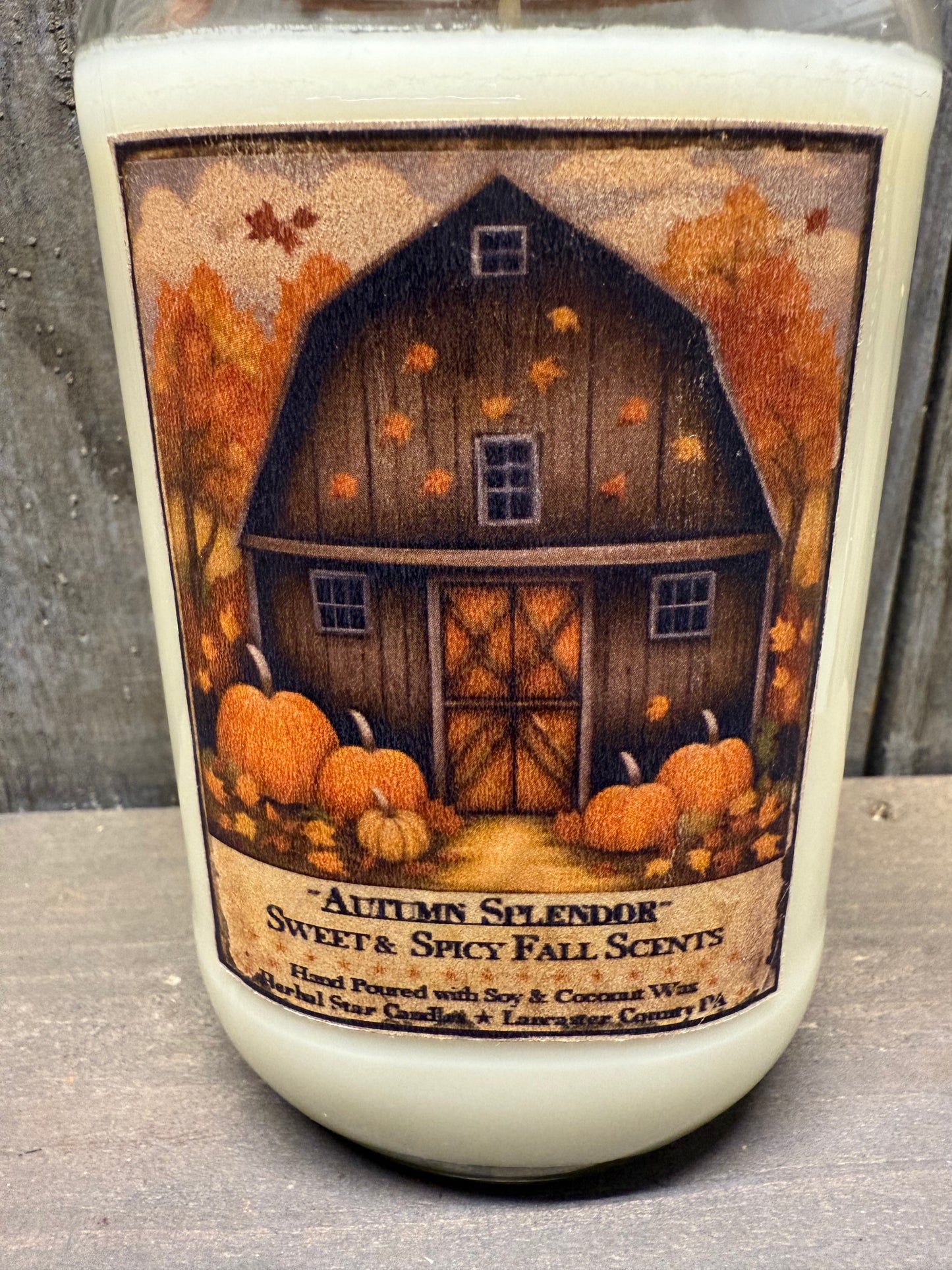 Soy/Coconut Wax Candle, FALL ASSORTED
