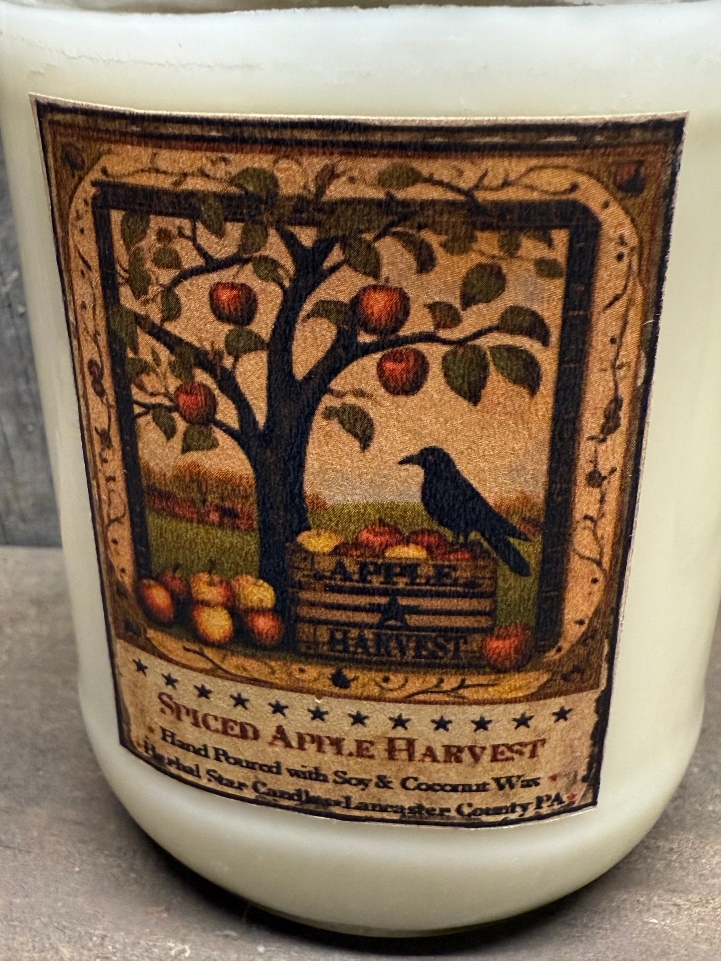 Soy/Coconut Wax Candle, FALL ASSORTED