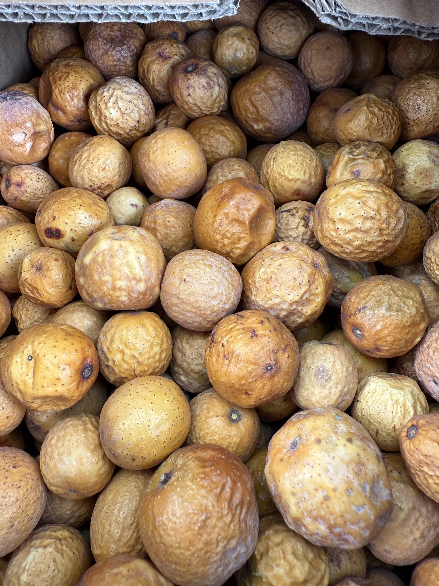 Crabapples, Dried, 1 lb. RED or NATURAL
