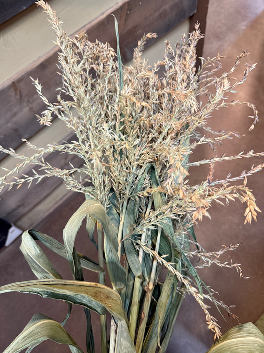CORN HUSK STANDS