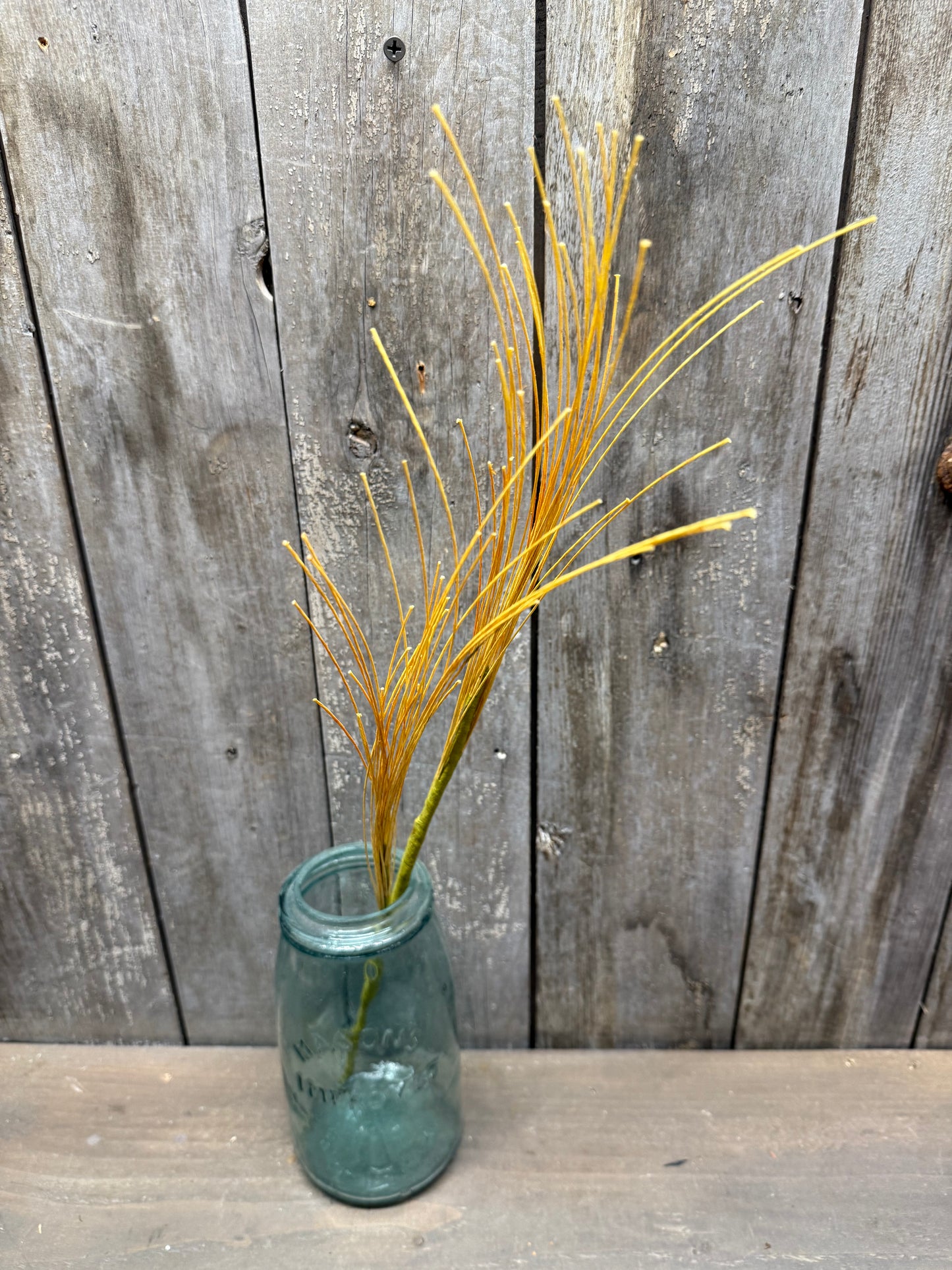 Stem, 22", DRY GRASS