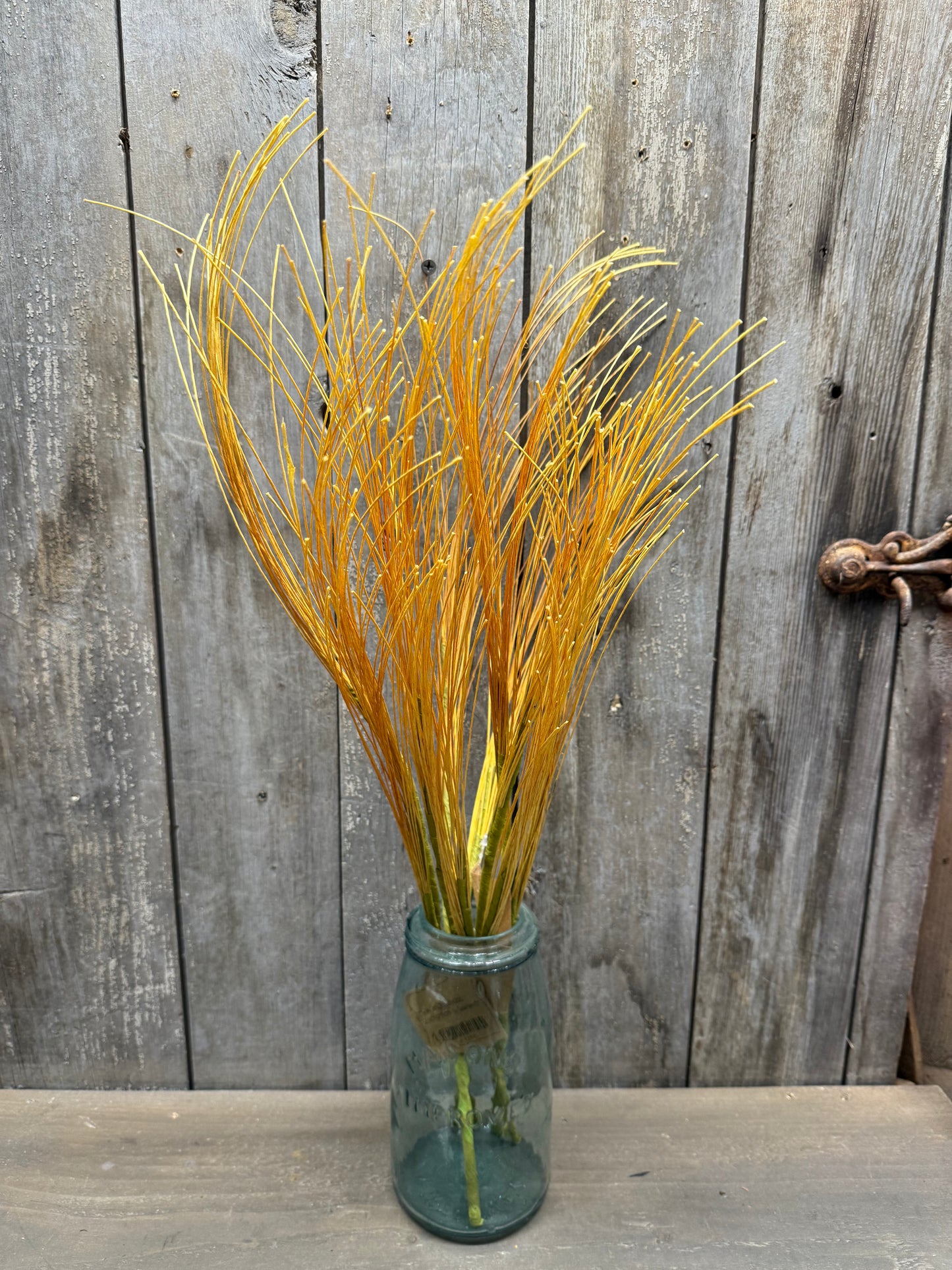Stem, 22", DRY GRASS