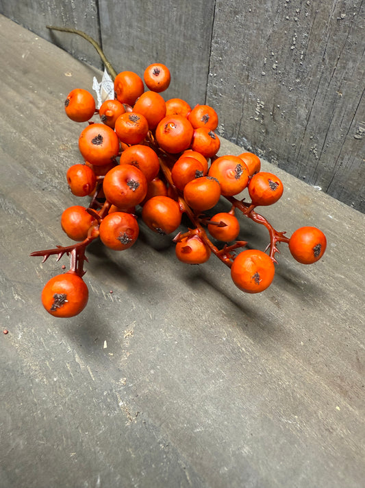Pick, 12”, EMBER FRUIT