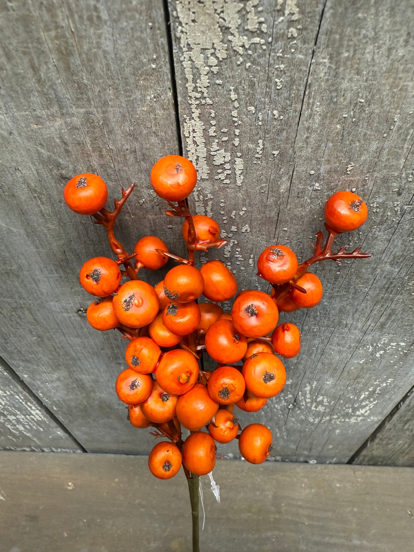 Pick, 12”, EMBER FRUIT
