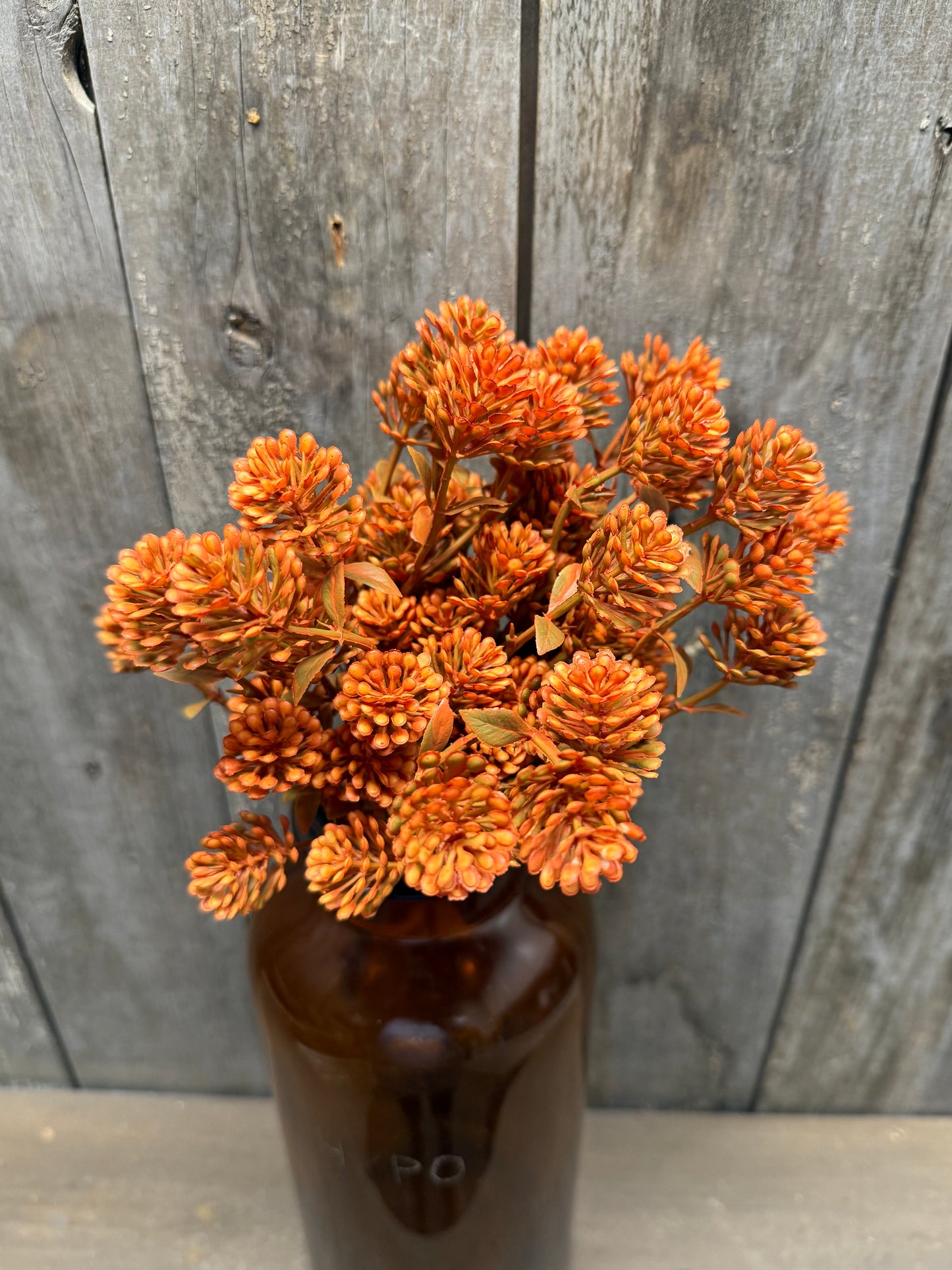 Bush, 12”, RUSSET CONE