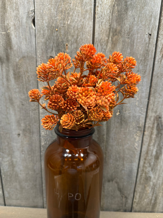 Bush, 12”, RUSSET CONE