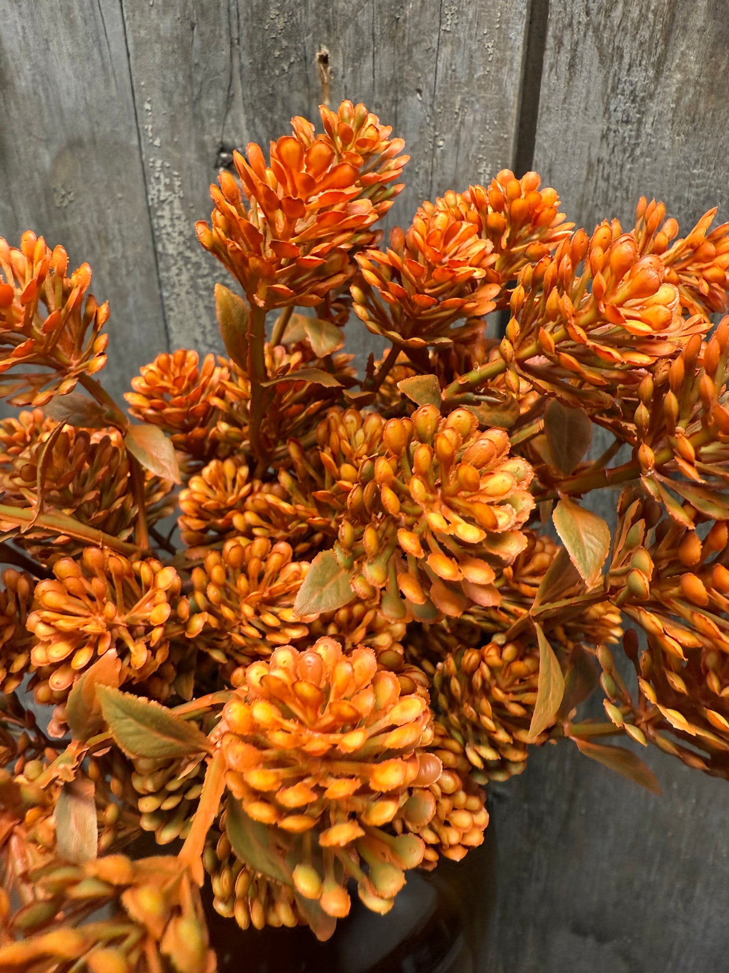 Bush, 12”, RUSSET CONE