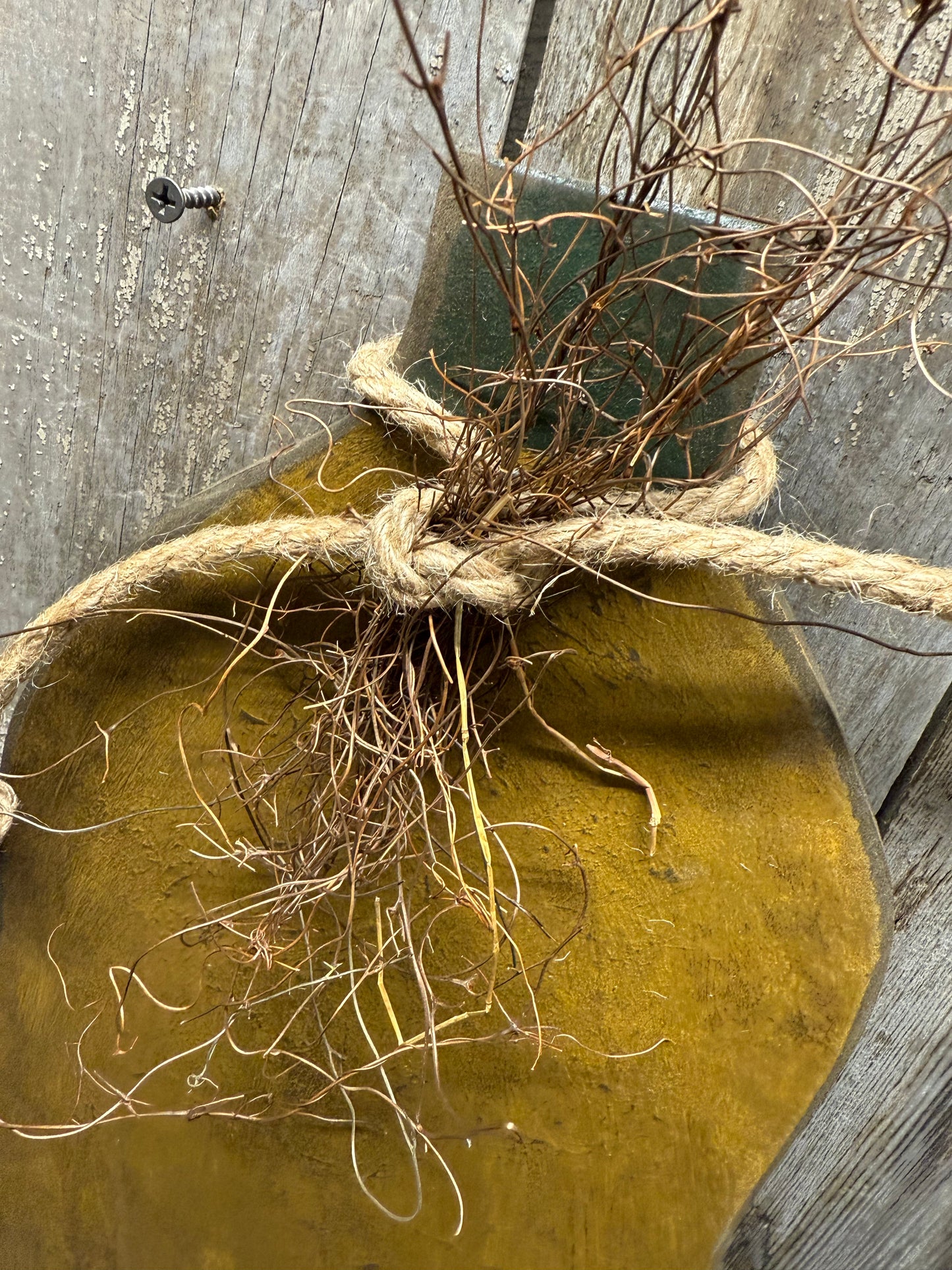 Distressed Pumpkin, MUSTARD