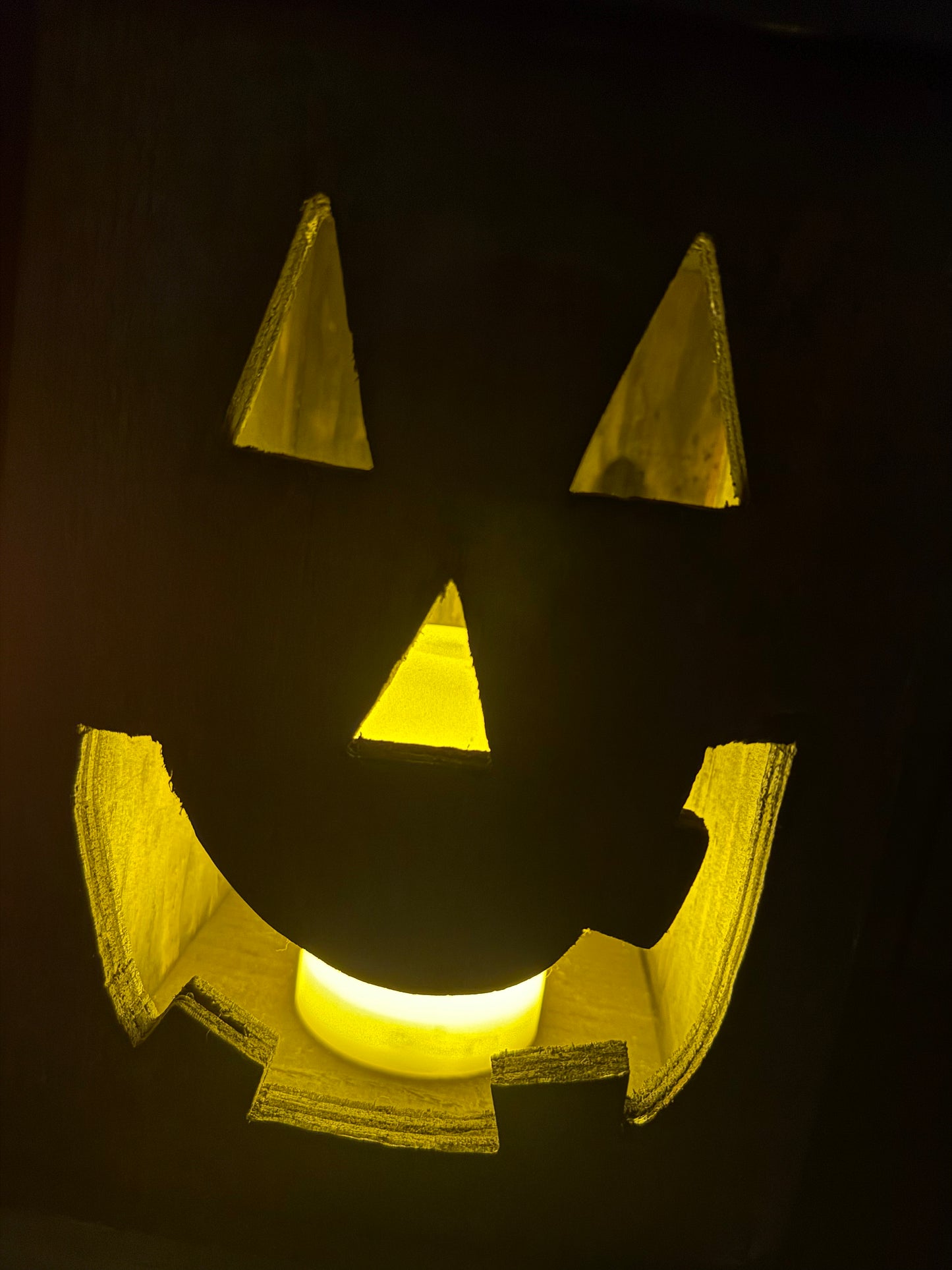 Pumpkin Box, BLACK JACK JR.