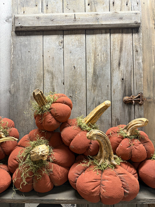CHUNKY STEM, Pumpkin