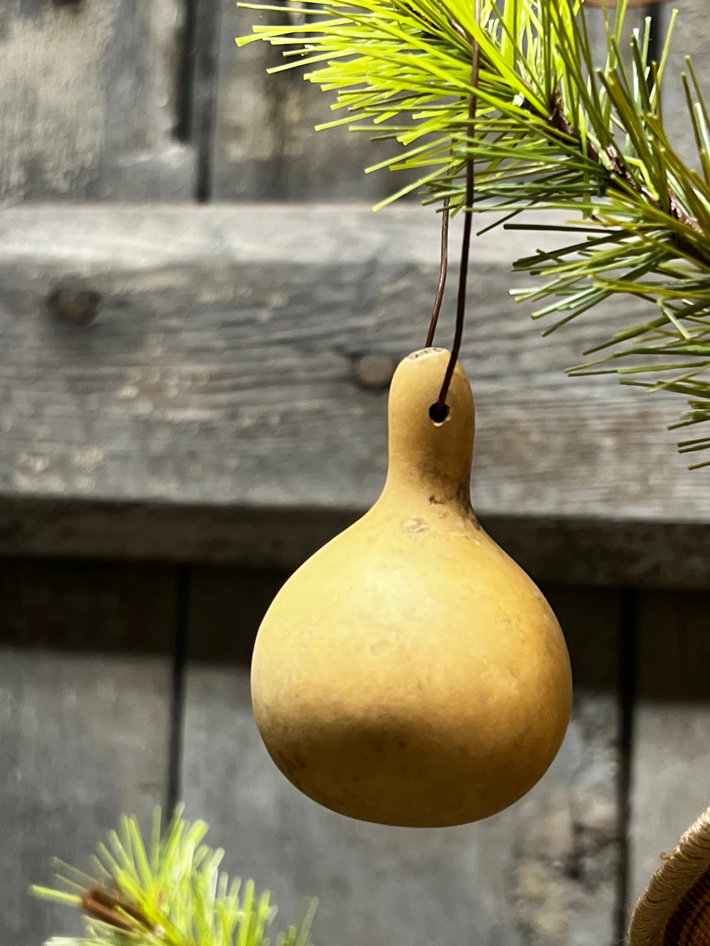 Gourd Ornament, Assorted Spinner, SMALL