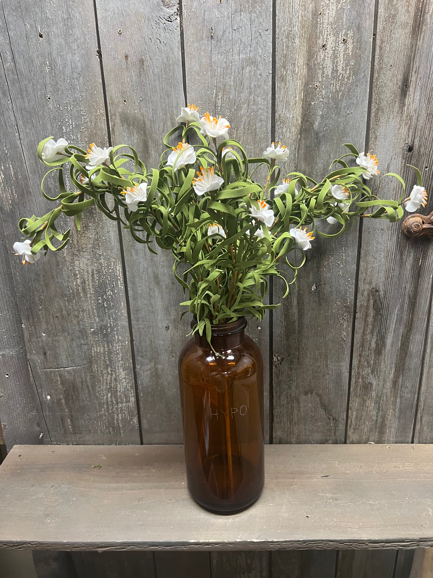 WILD ROSE, Stem, 24”, White