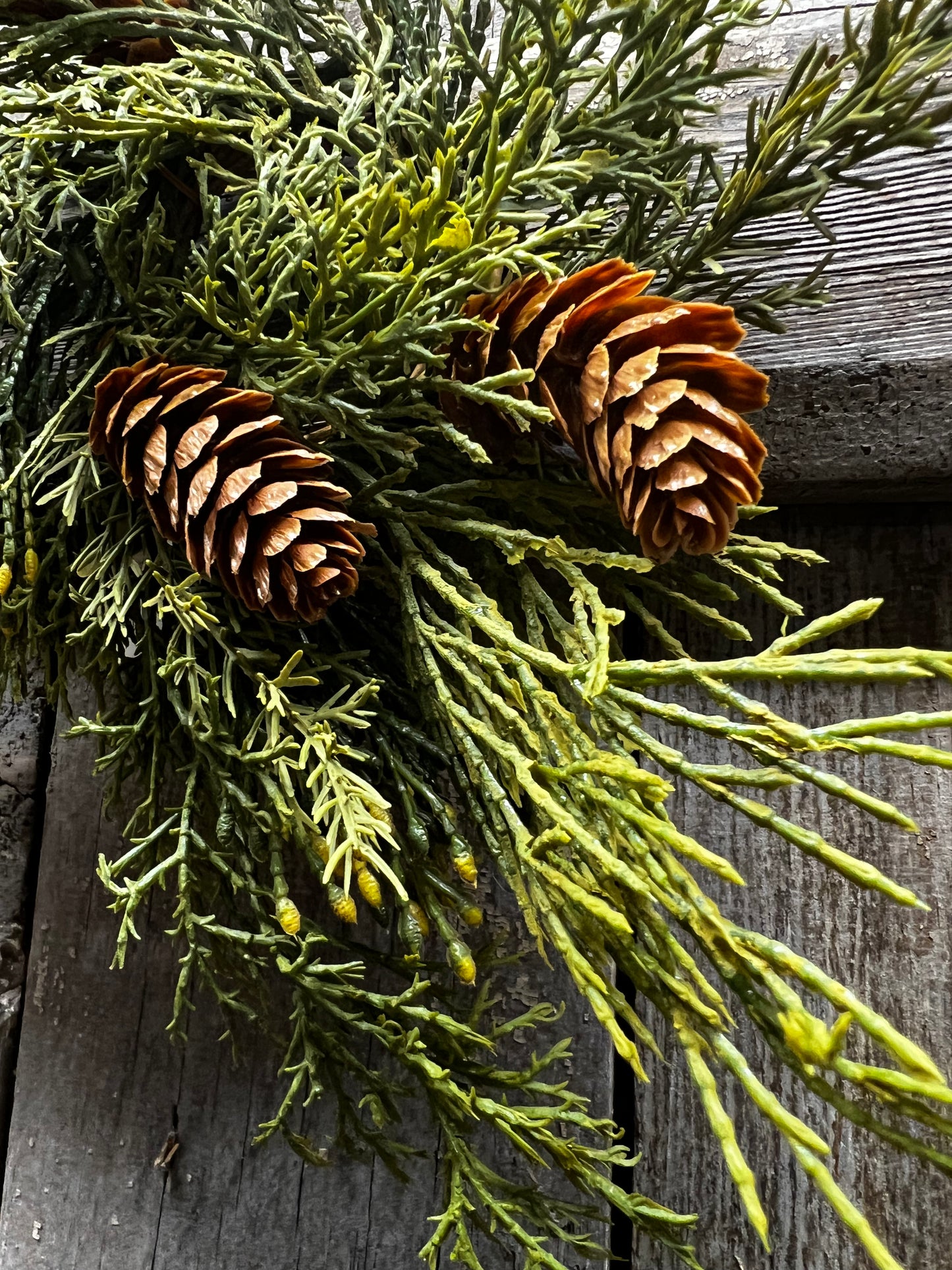 Candle Ring, 2", ALPINE CEDAR