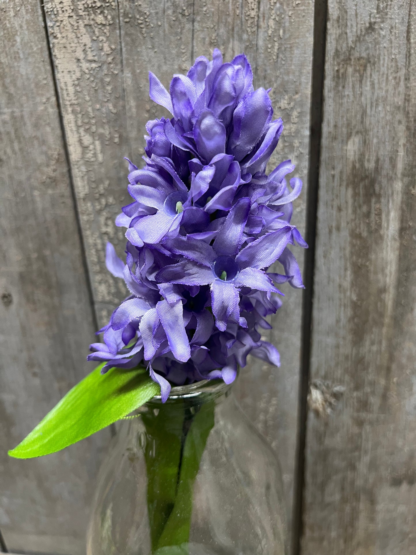 Stem, 11”, HYACINTH, WHITE or PURPLE