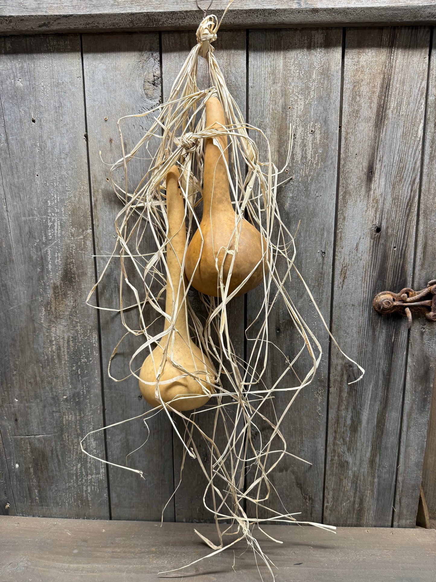Gourd Bundle, 22", 2 DIPPERS