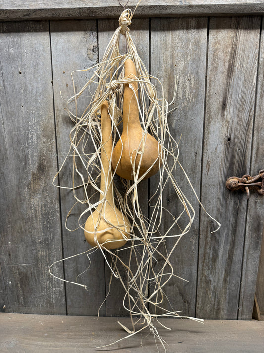 Gourd Bundle, 22", 2 DIPPERS