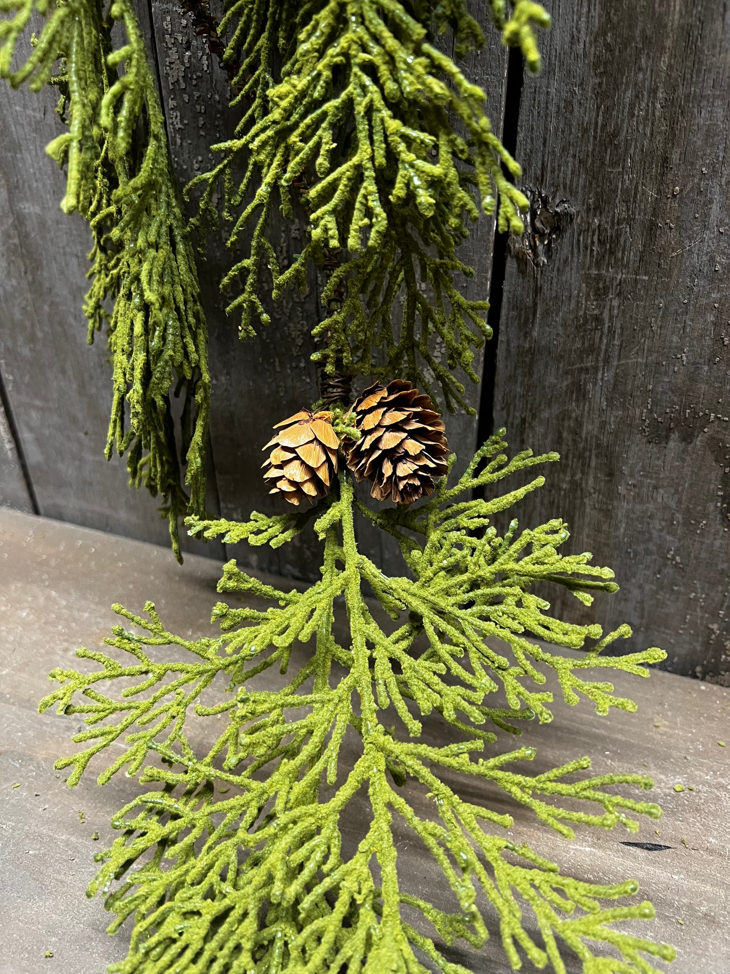 North Rim Hemlock, 48", VINE