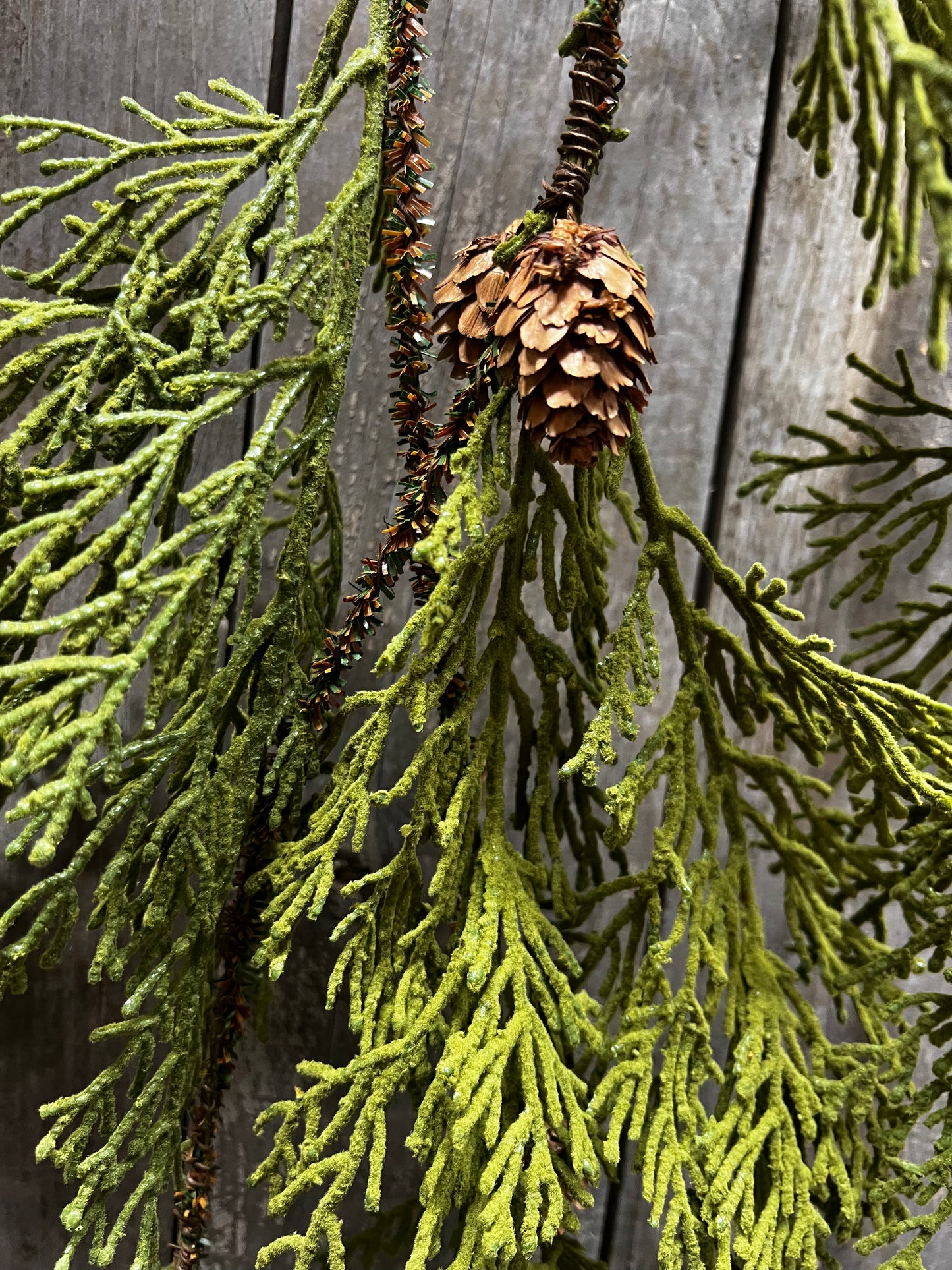 North Rim Hemlock, 48", VINE