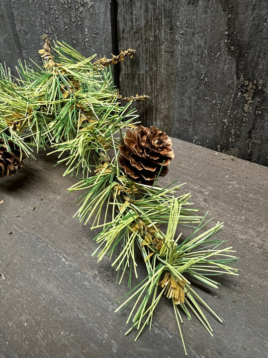 Pine Bouquet, 12 STEMS