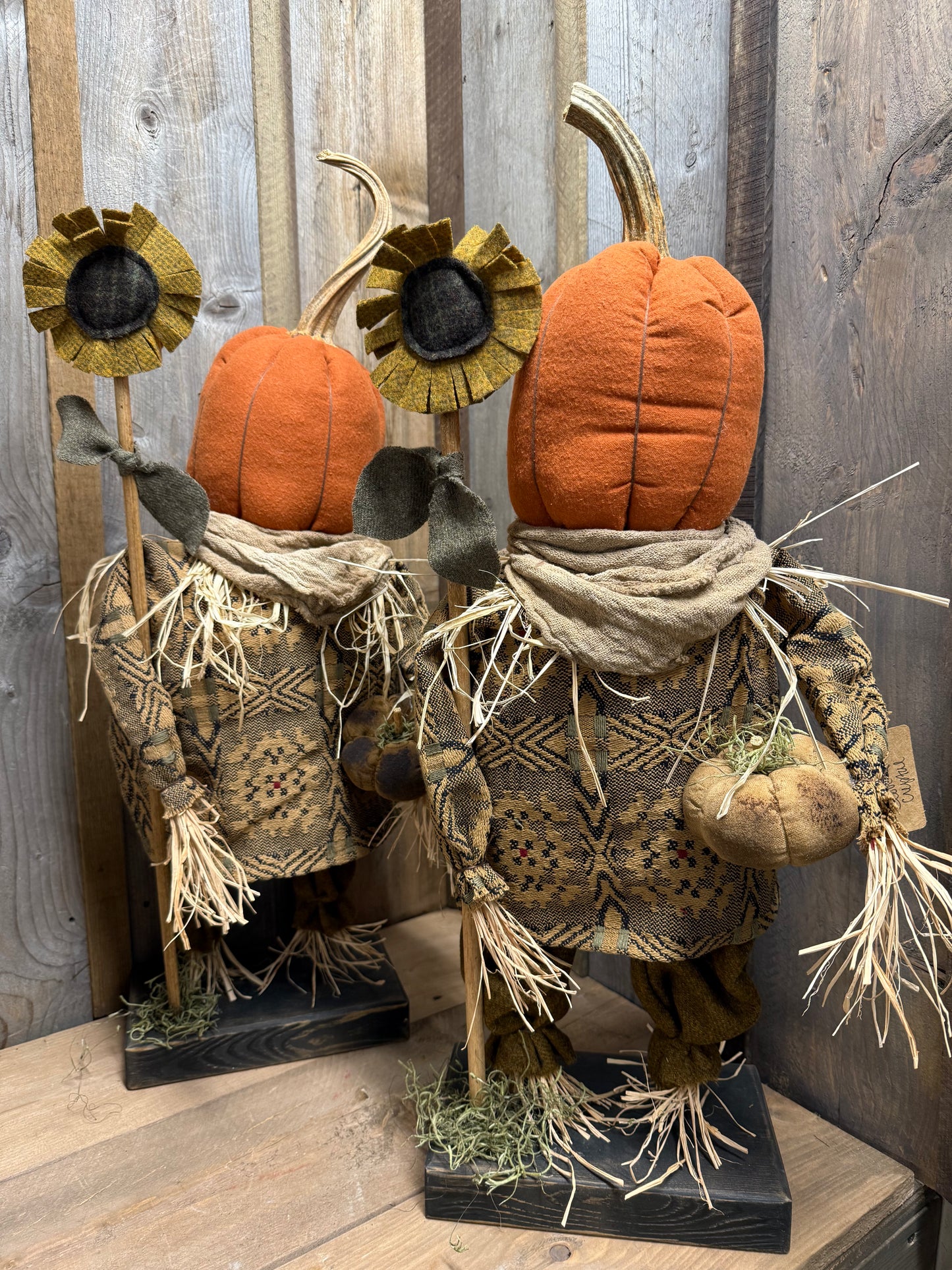 CLARENCE, Pumpkin Man, Assorted